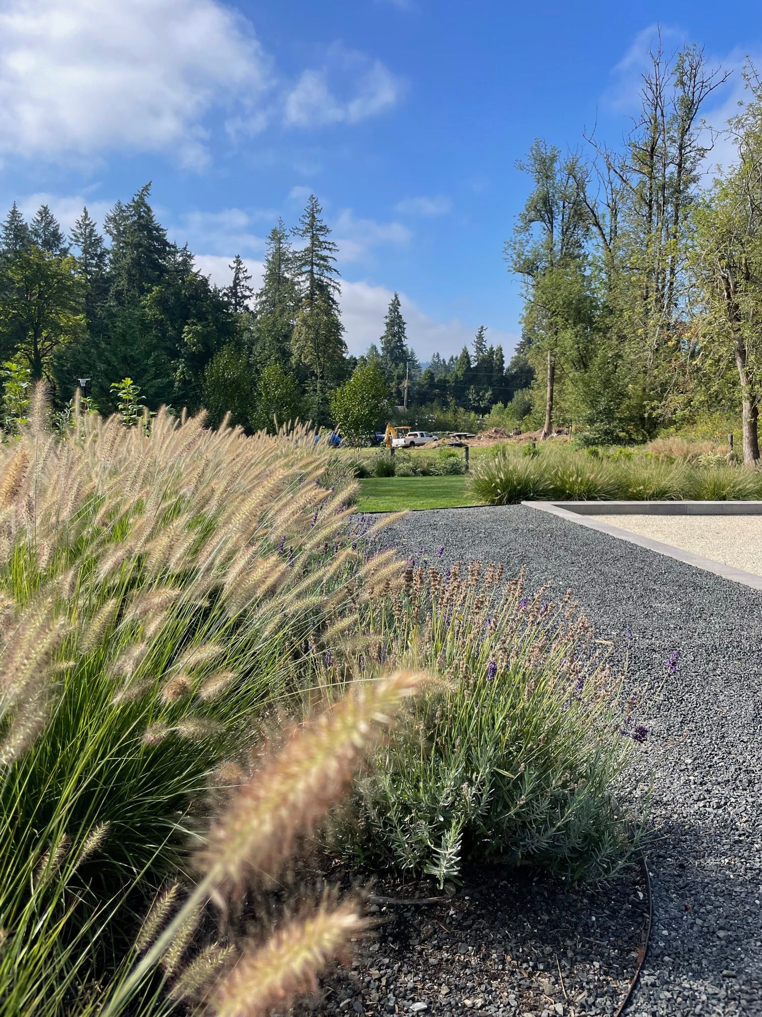  for Courtney Lewis Landscape Design in Portland, OR