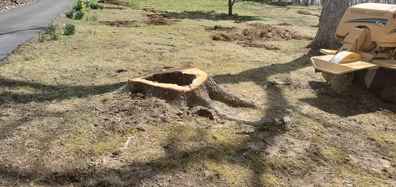  for W D Giampa Lawns and Landscape Inc. in Manassas, VA