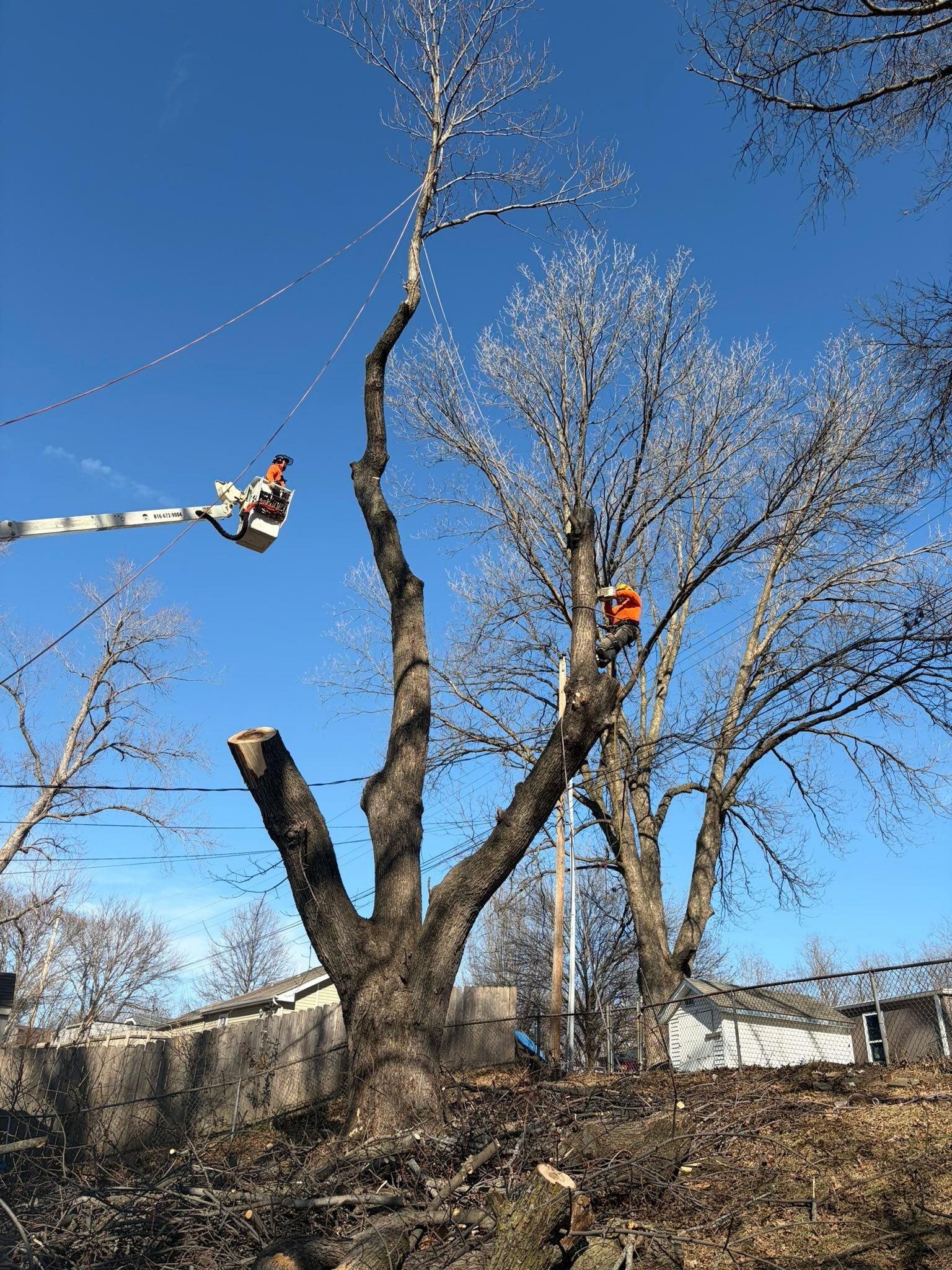All Photos for Cross Family Tree Service in Kearney, MO