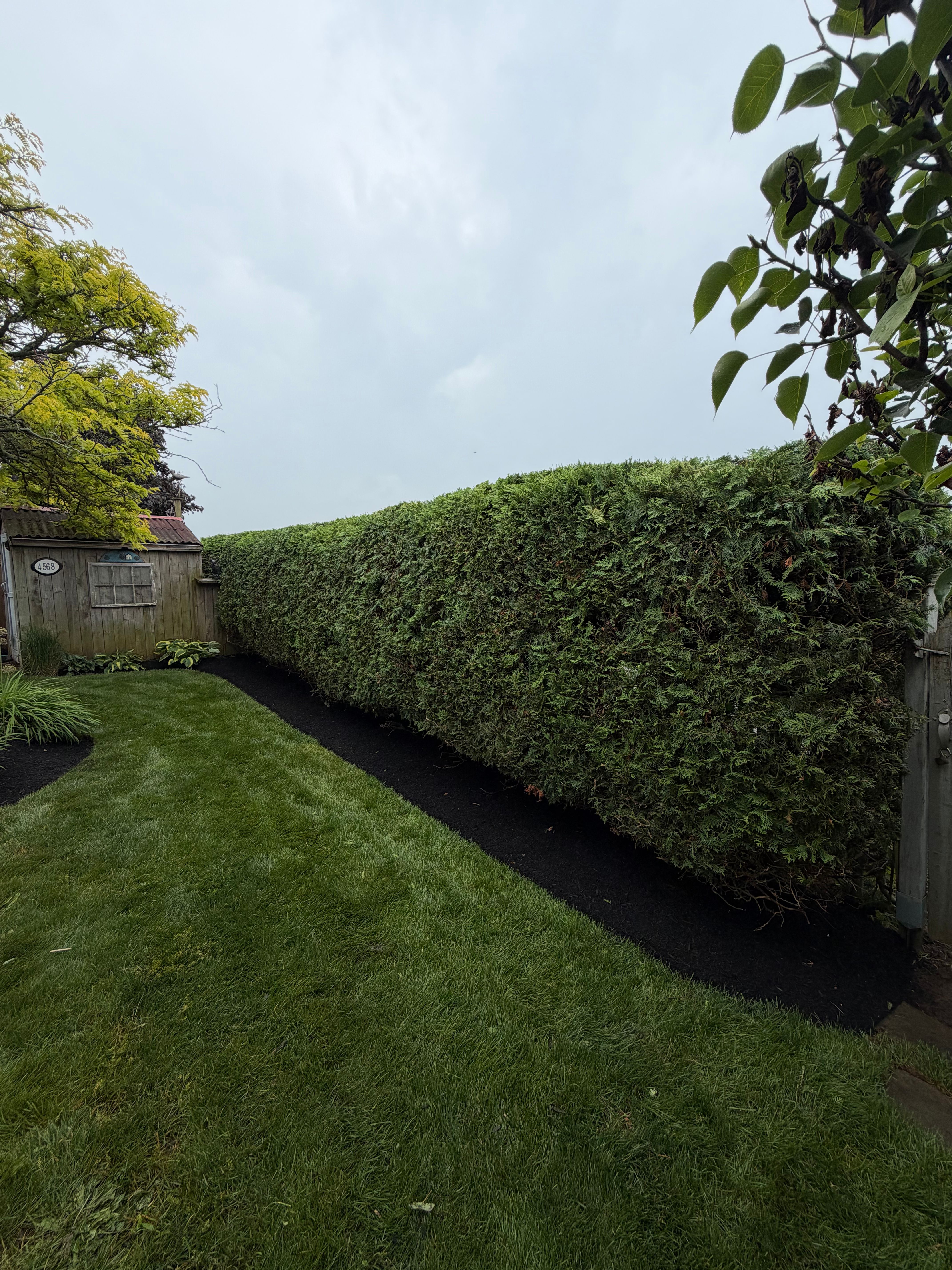  for CMN Exterior Maintenance in Hamilton, ON