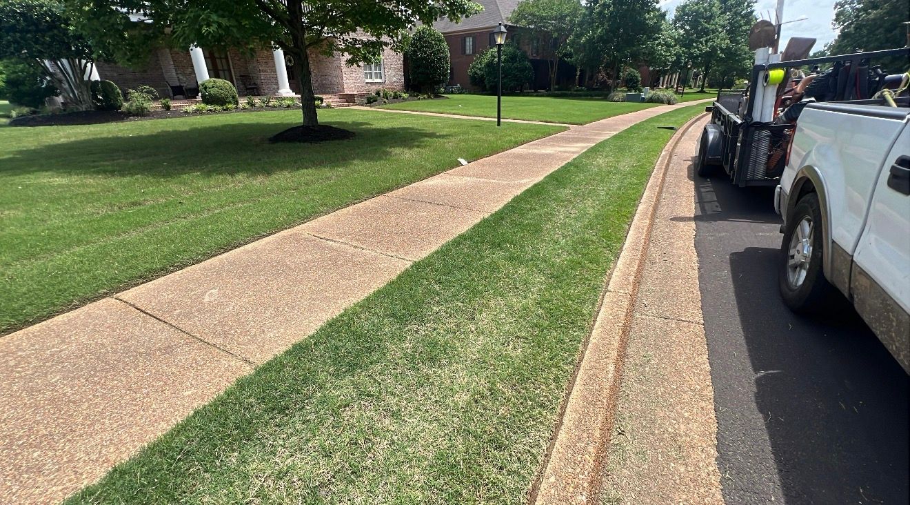  for Sanchez Z. Landscaping in Memphis, TN