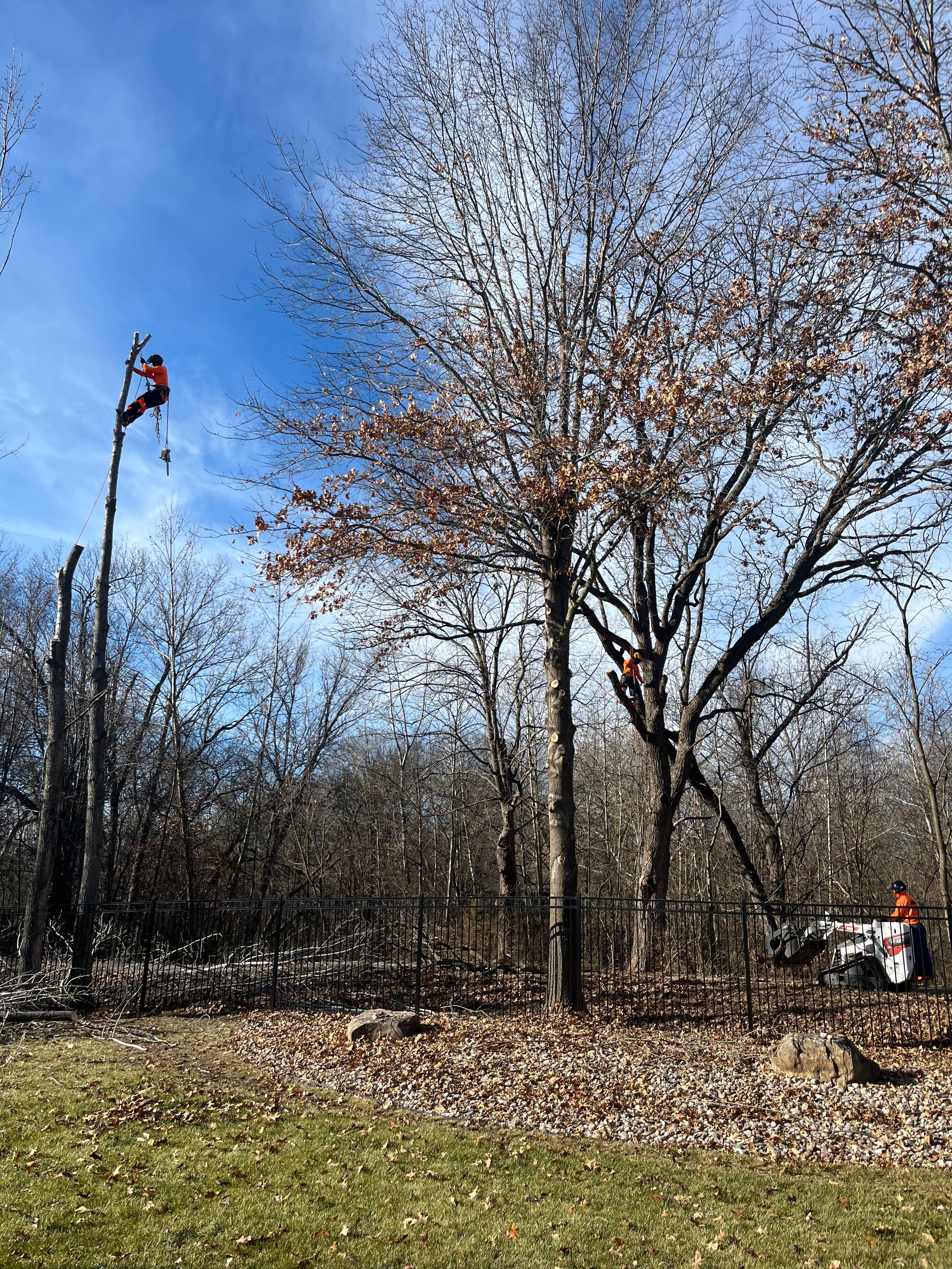 All Photos for Cross Family Tree Service in Kearney, MO
