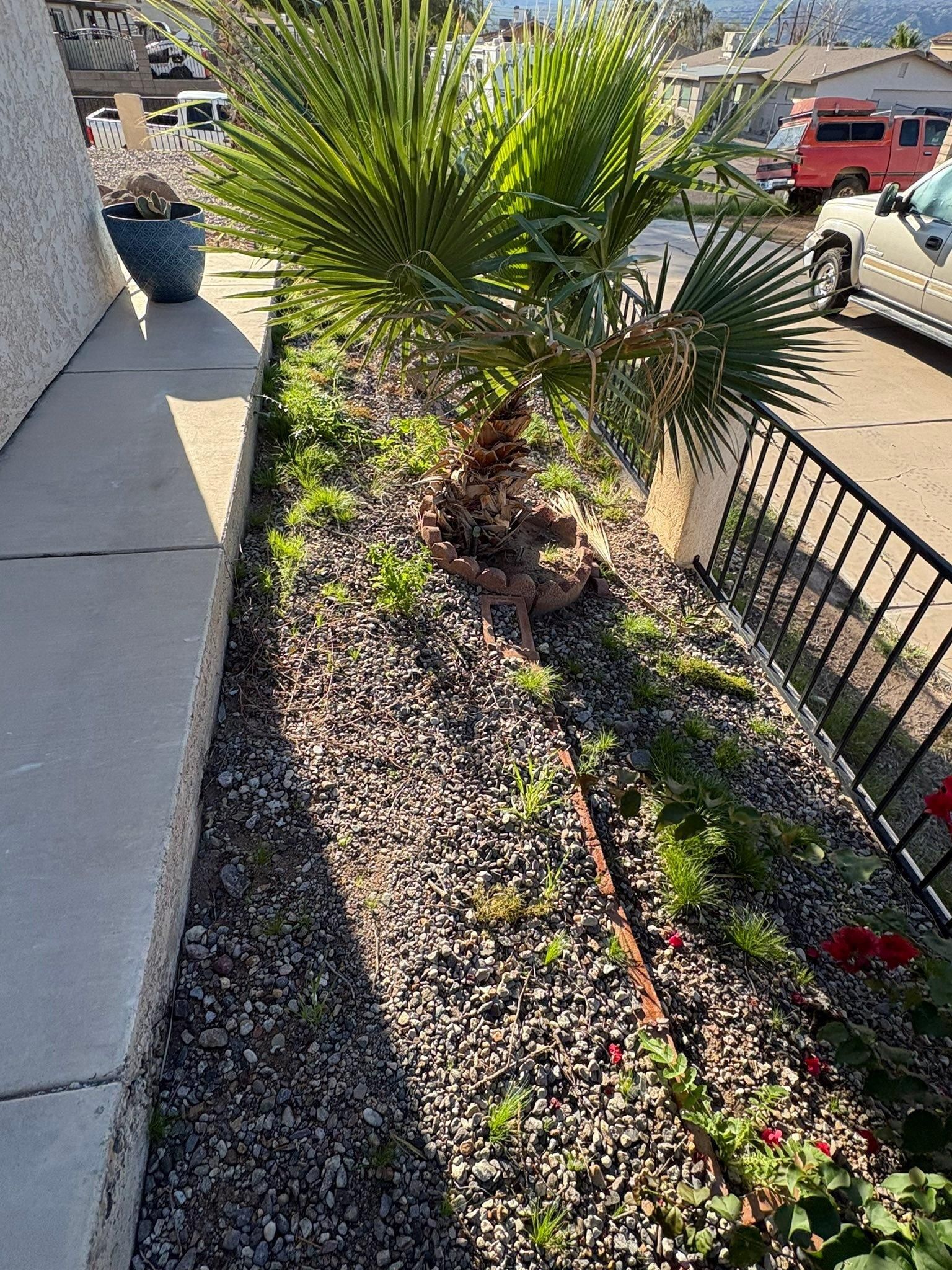  for Top Notch Landscape Services LLC in Mohave Valley, AZ