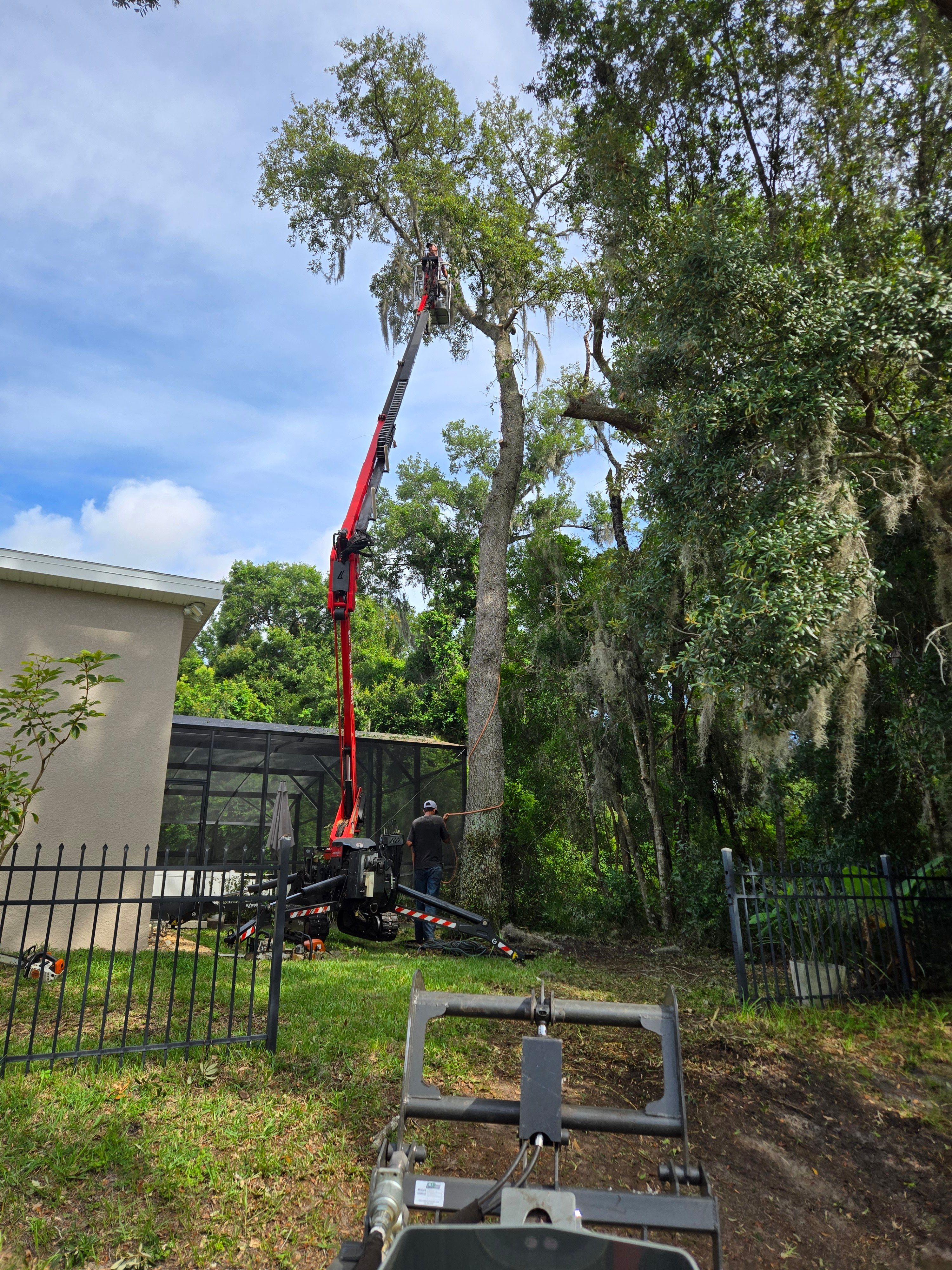 All Photos for Near Me Tree Service, Inc. in DeLand, FL