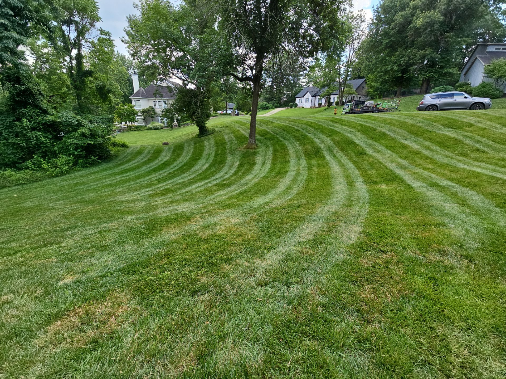  for The Grass Guys™ in Evansville, IN