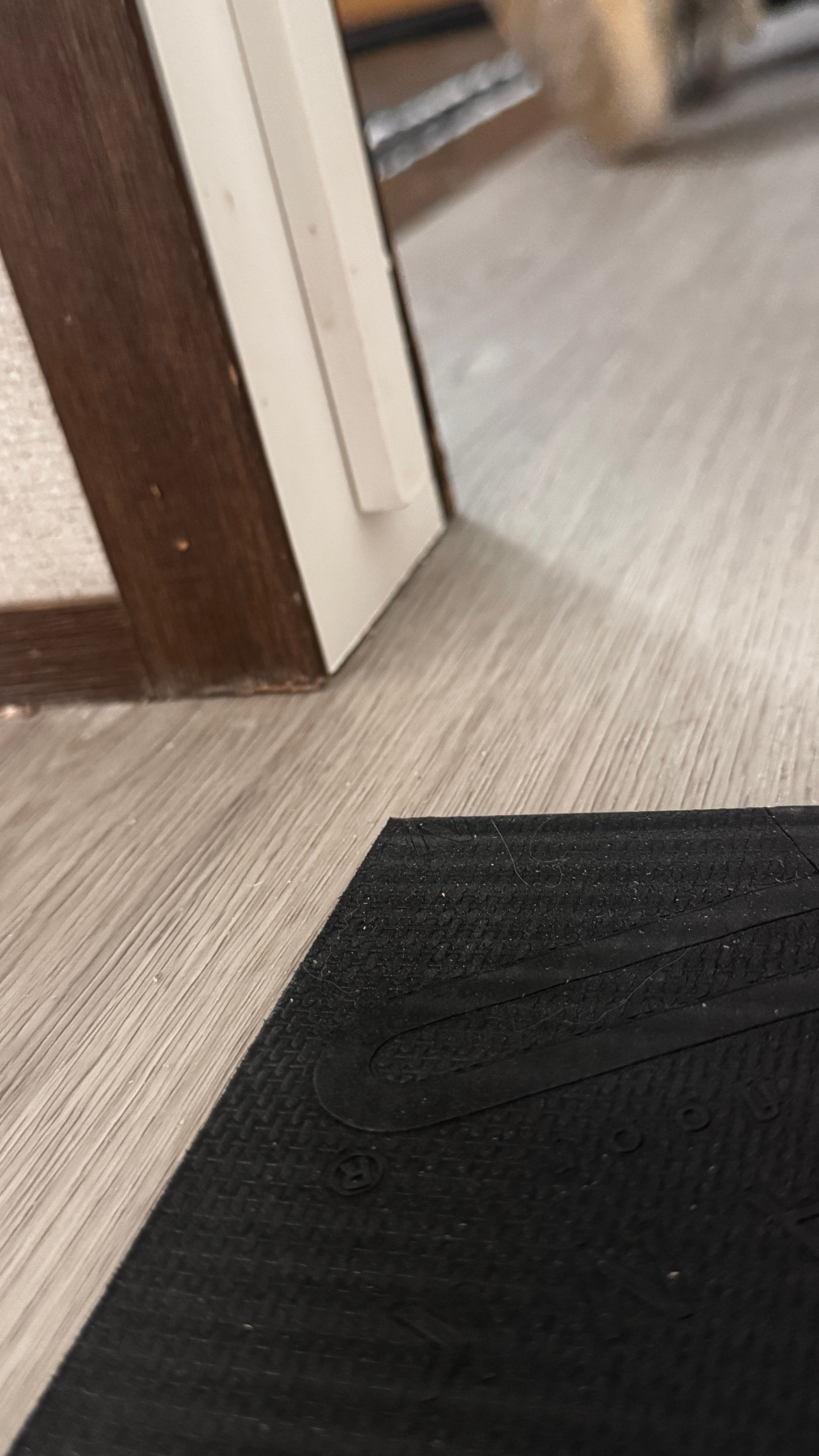  for Rico’s Floor Covering in Atlanta, GA