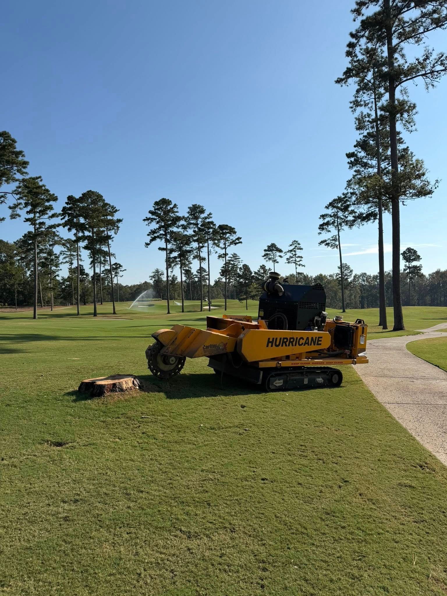  for Dozier Stump Grinding in Augusta, GA
