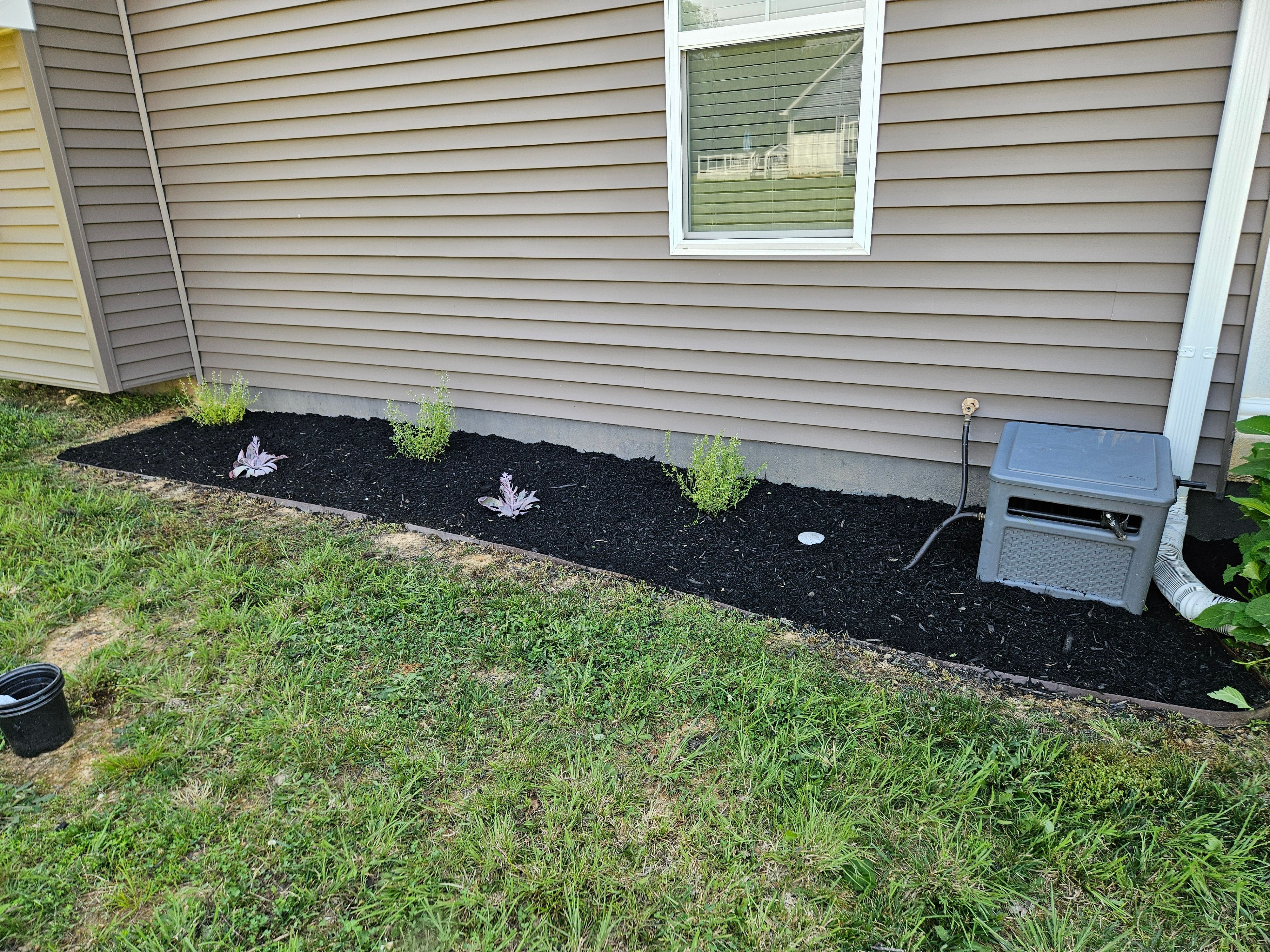 All Photos for Browns Grounds in Culpeper, VA