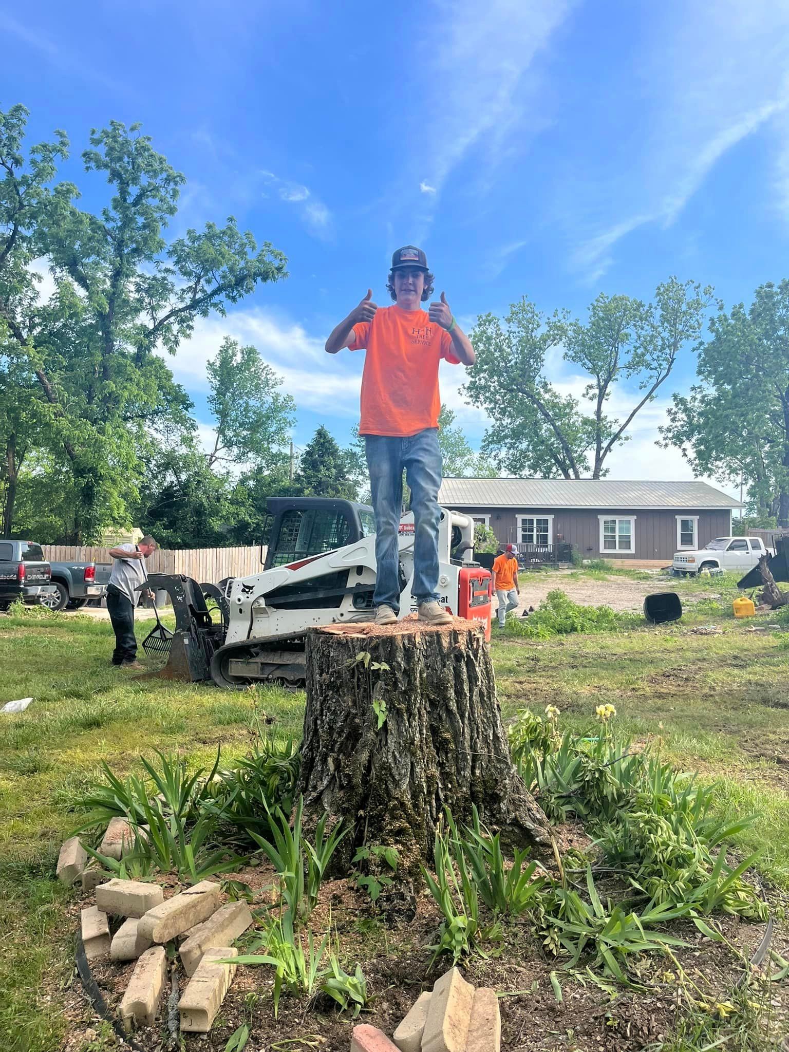  for H n H Tree Service in Taneyville, MO