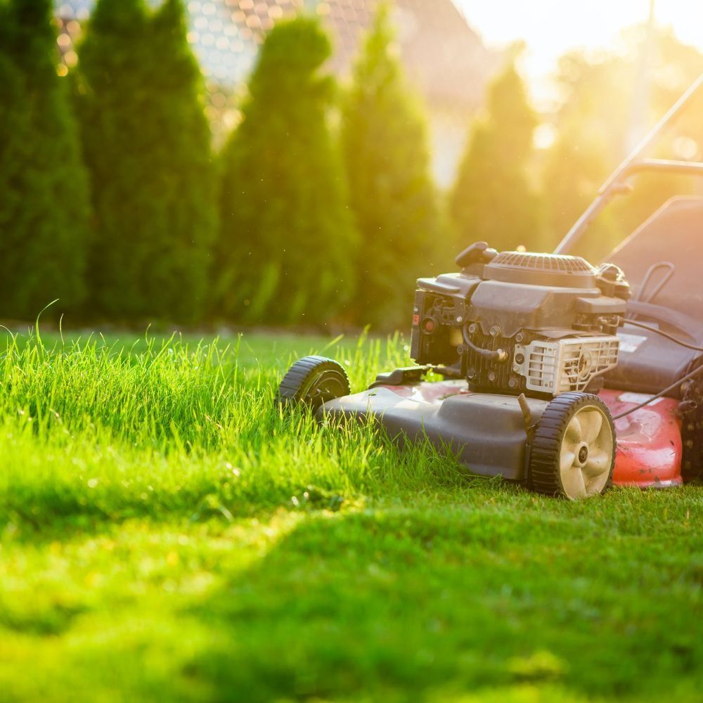  for Landscape Design & Lawncare in Gastonia, NC