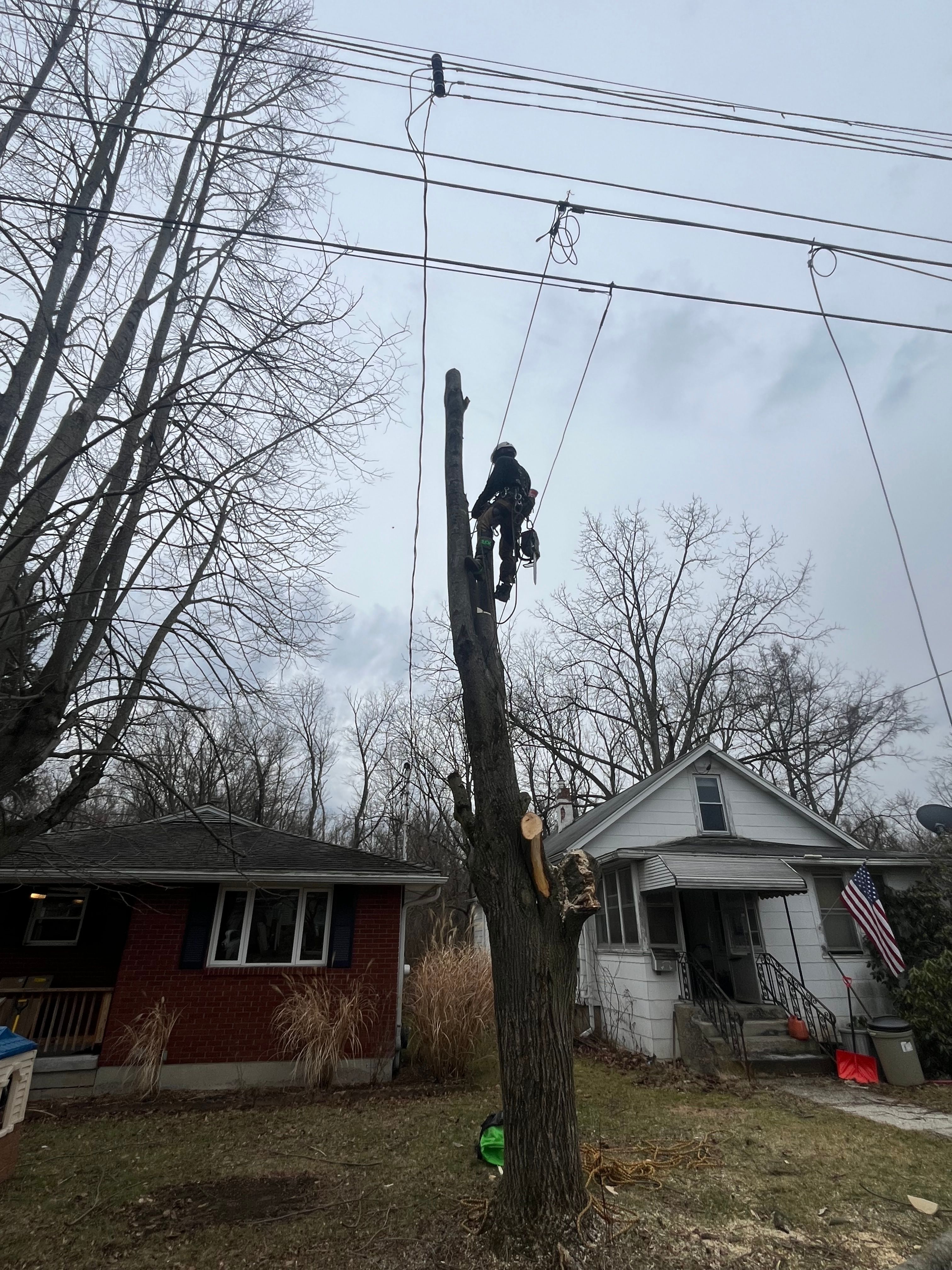 All Photos for Licensed to Cut Tree Service in Athens, PA