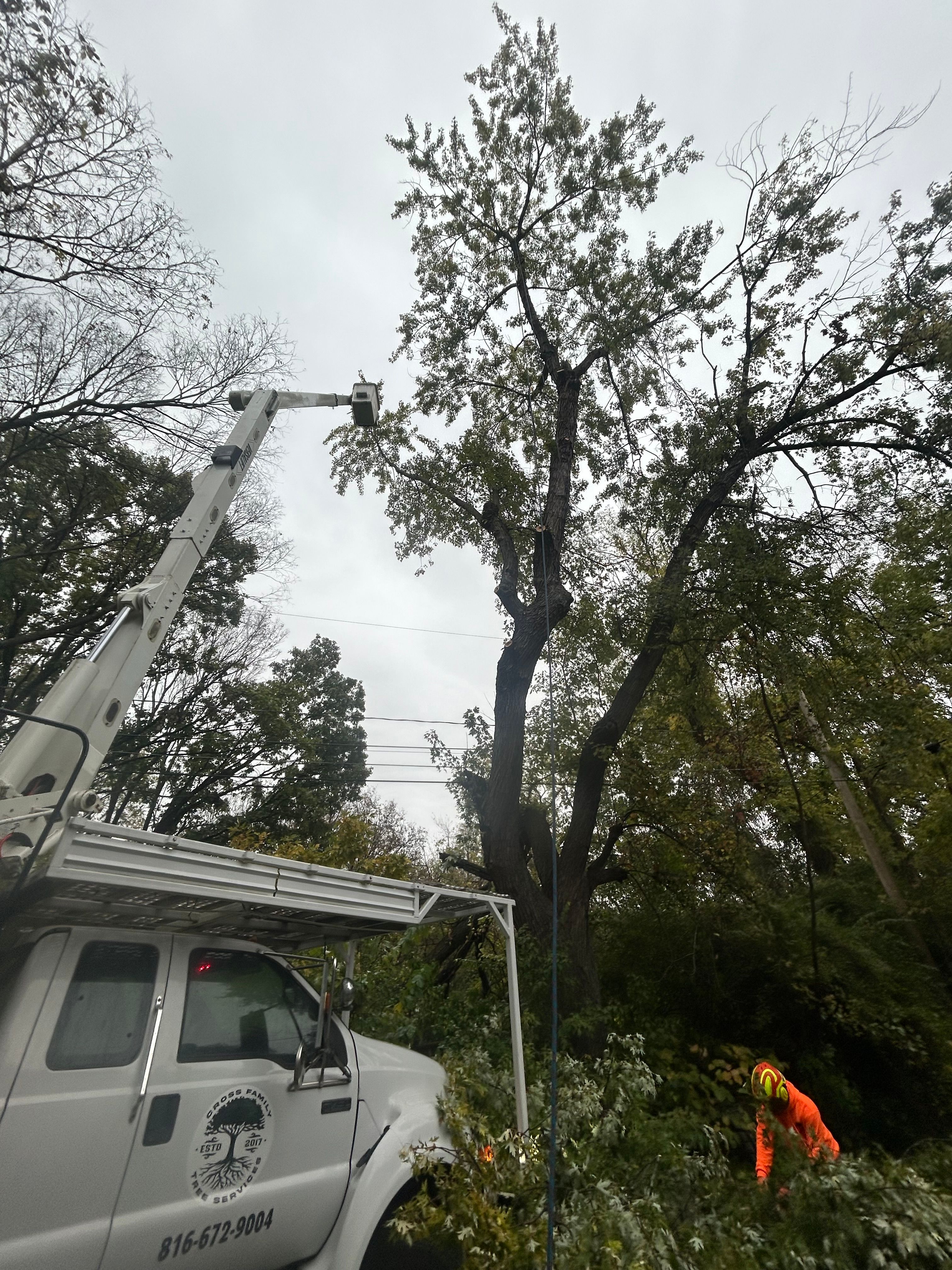 All Photos for Cross Family Tree Service in Kearney, MO