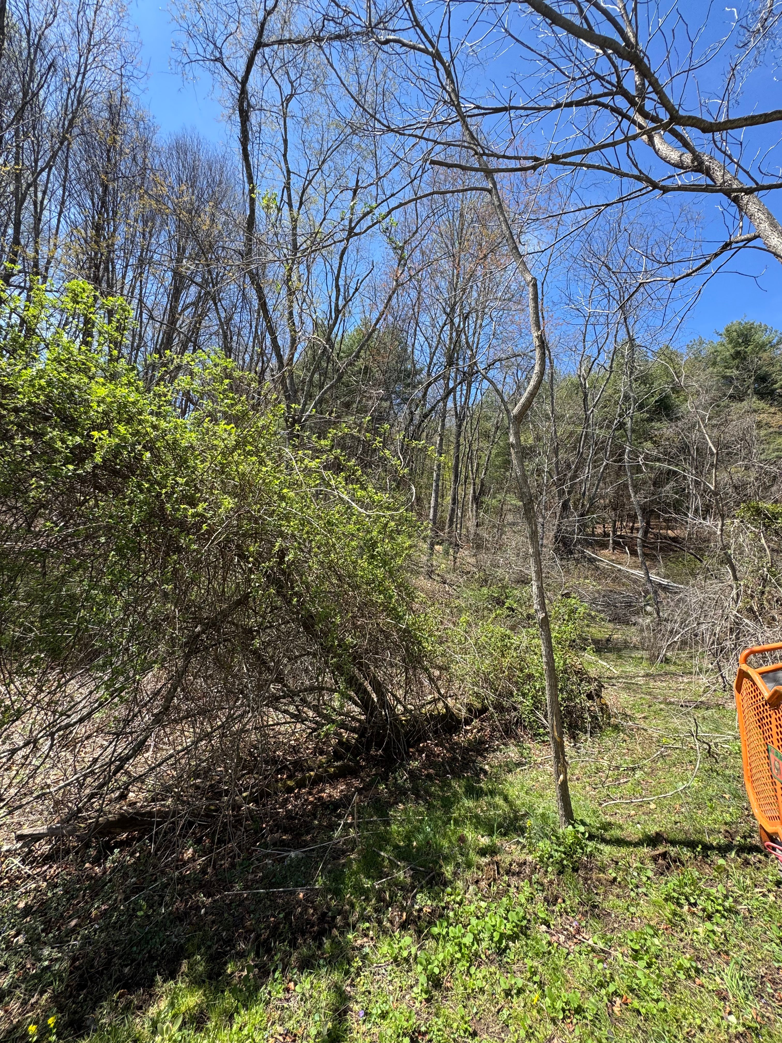  for Mountain Goat Land Management in Galax, VA