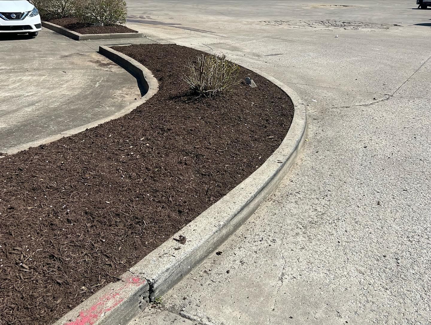  for The Right Price Right Choice Lawn Care Services in Murfreesboro, TN