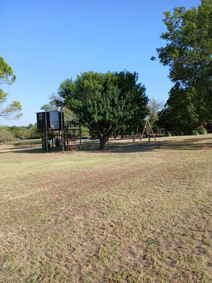 Tree Removal for Marks Tree Service in Fort Worth, TX