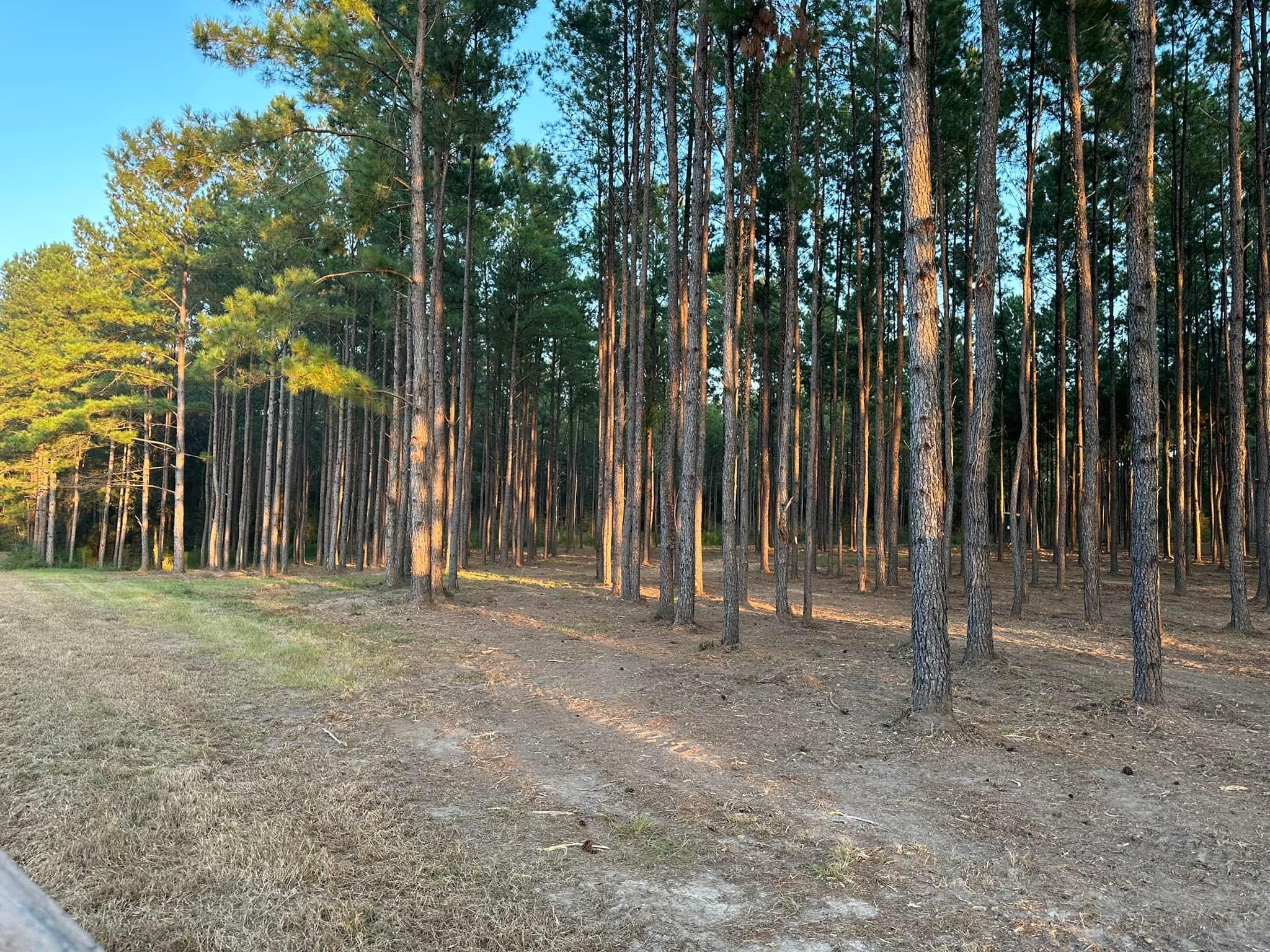 All Photos for White’s Land Maintenance in Milton,, FL