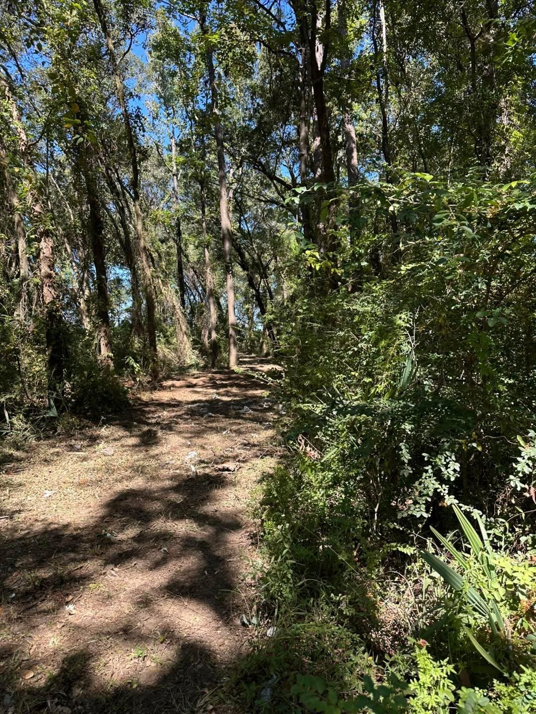  for White’s Land Maintenance in Milton,, FL
