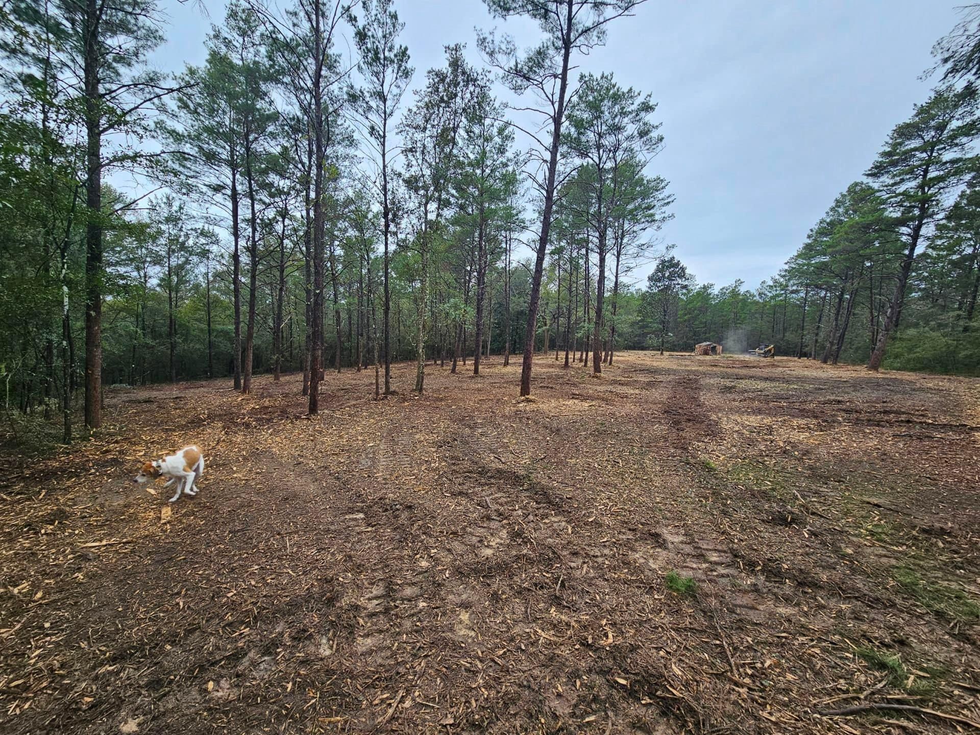 All Photos for White’s Land Maintenance in Milton,, FL