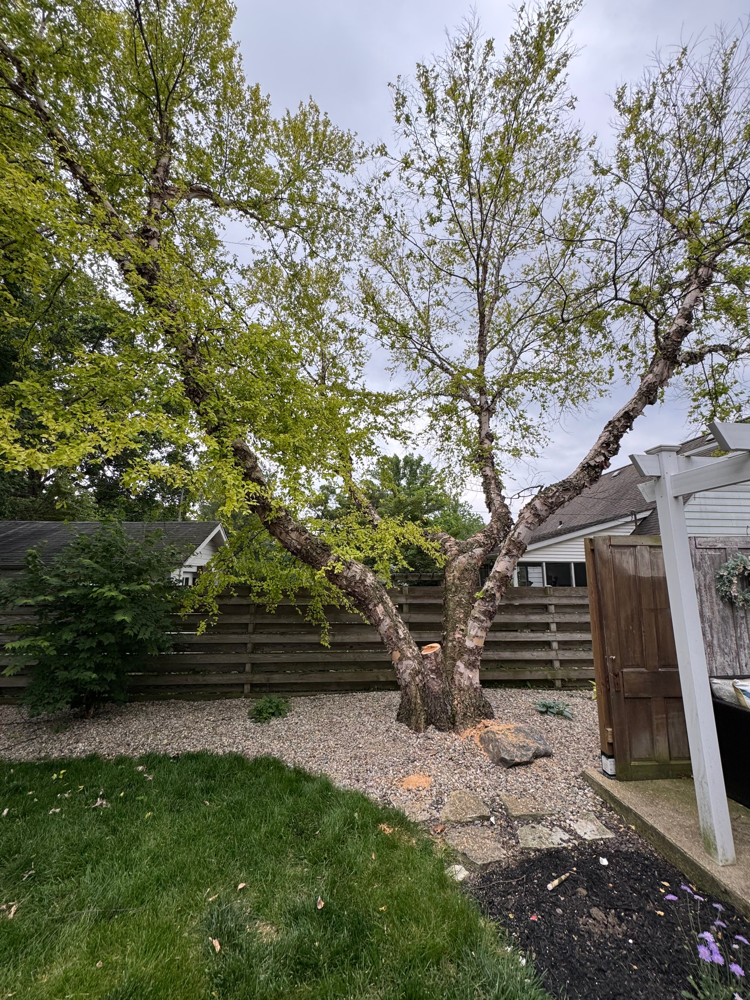 All Photos for Wininger Landscaping in New Richmond, IN