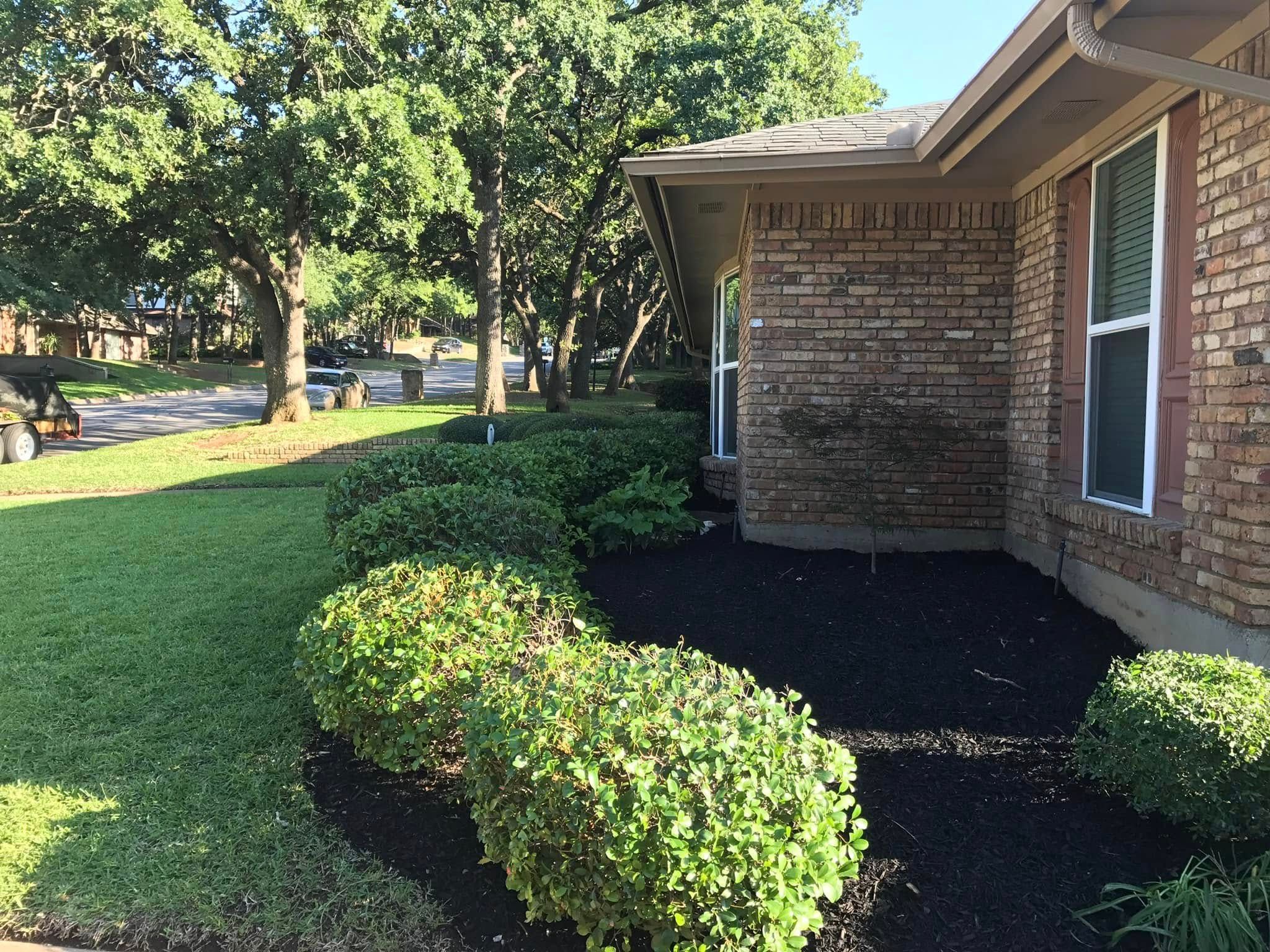  for Tree Valley Landscaping in Dallas, TX