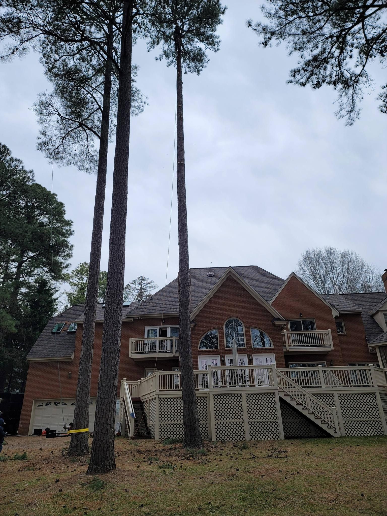  for Integrity Tree and Landscaping in Lynchburg, VA