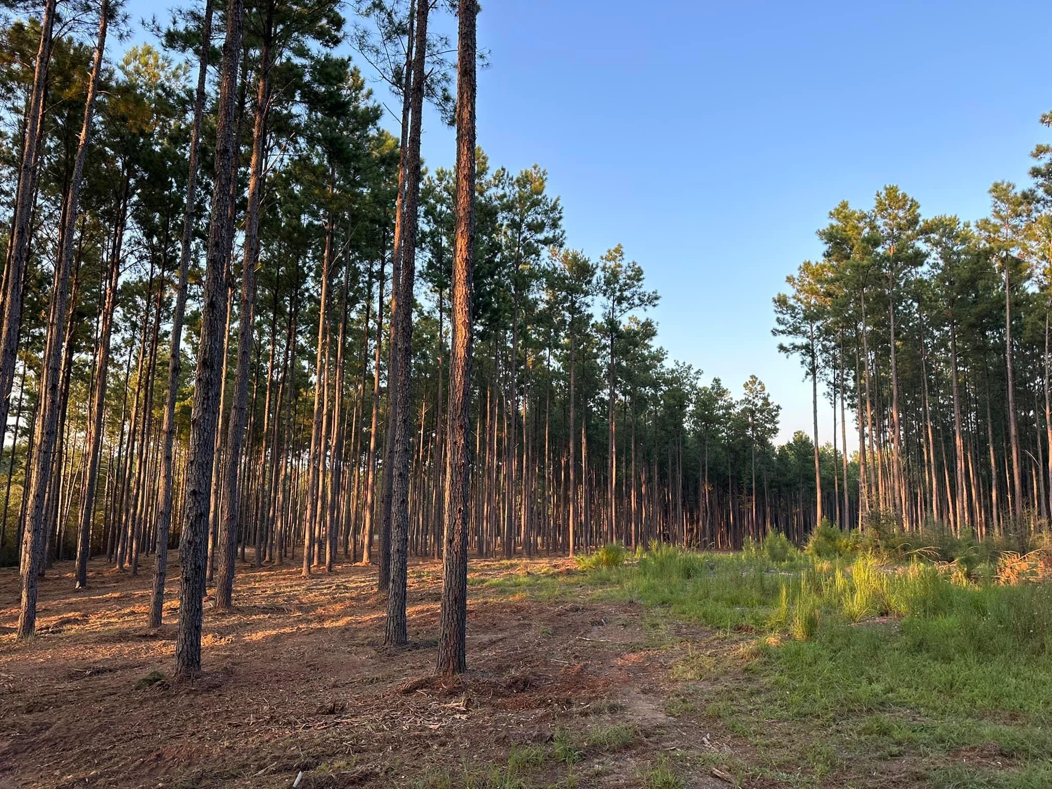  for White’s Land Maintenance in Milton,, FL