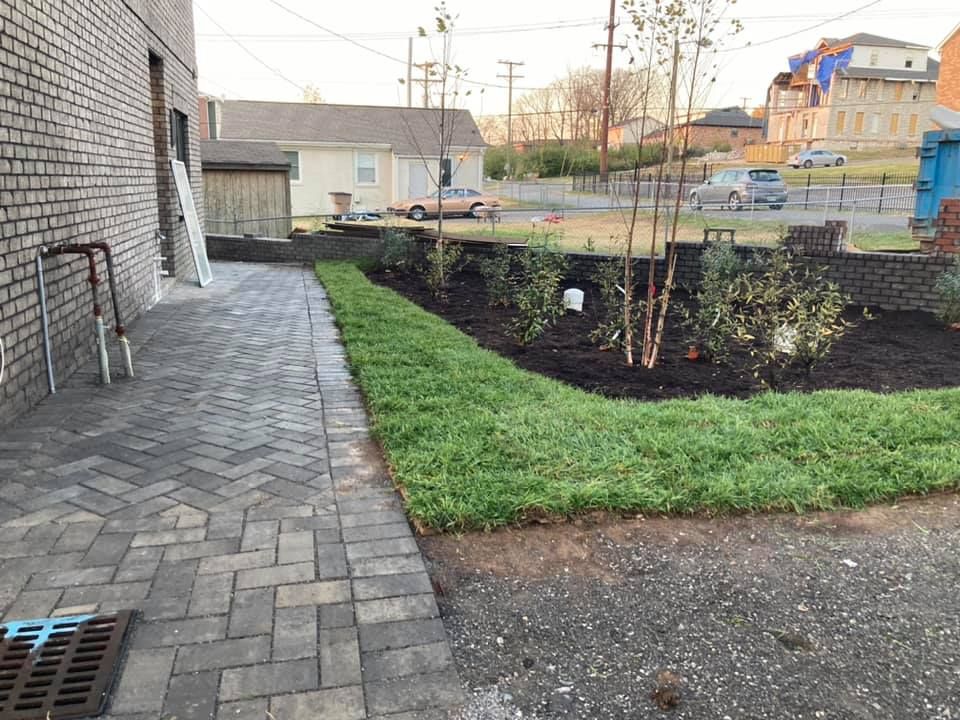 for Grass Management in Nashville, TN
