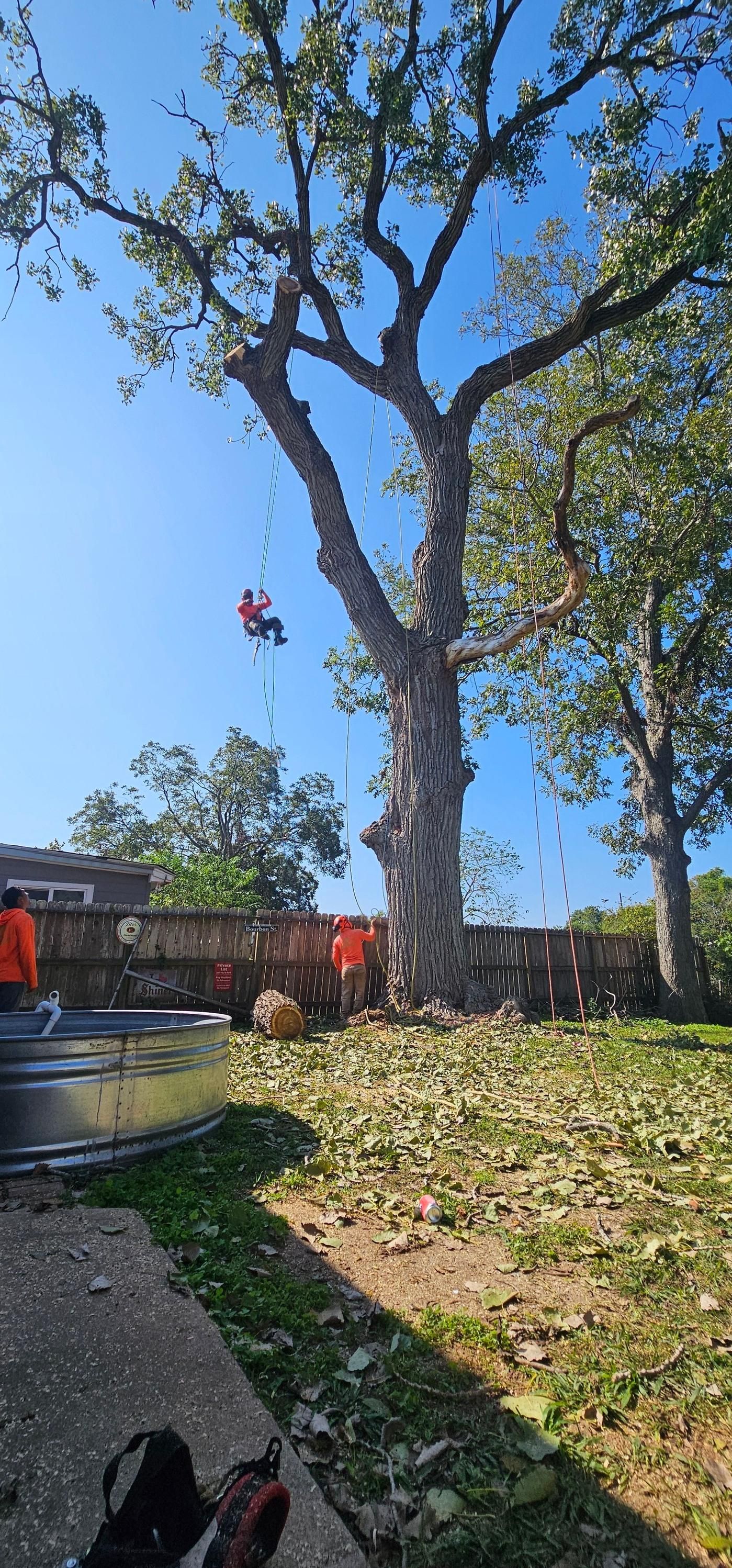  for Servin's Tree Care  in Houston, TX