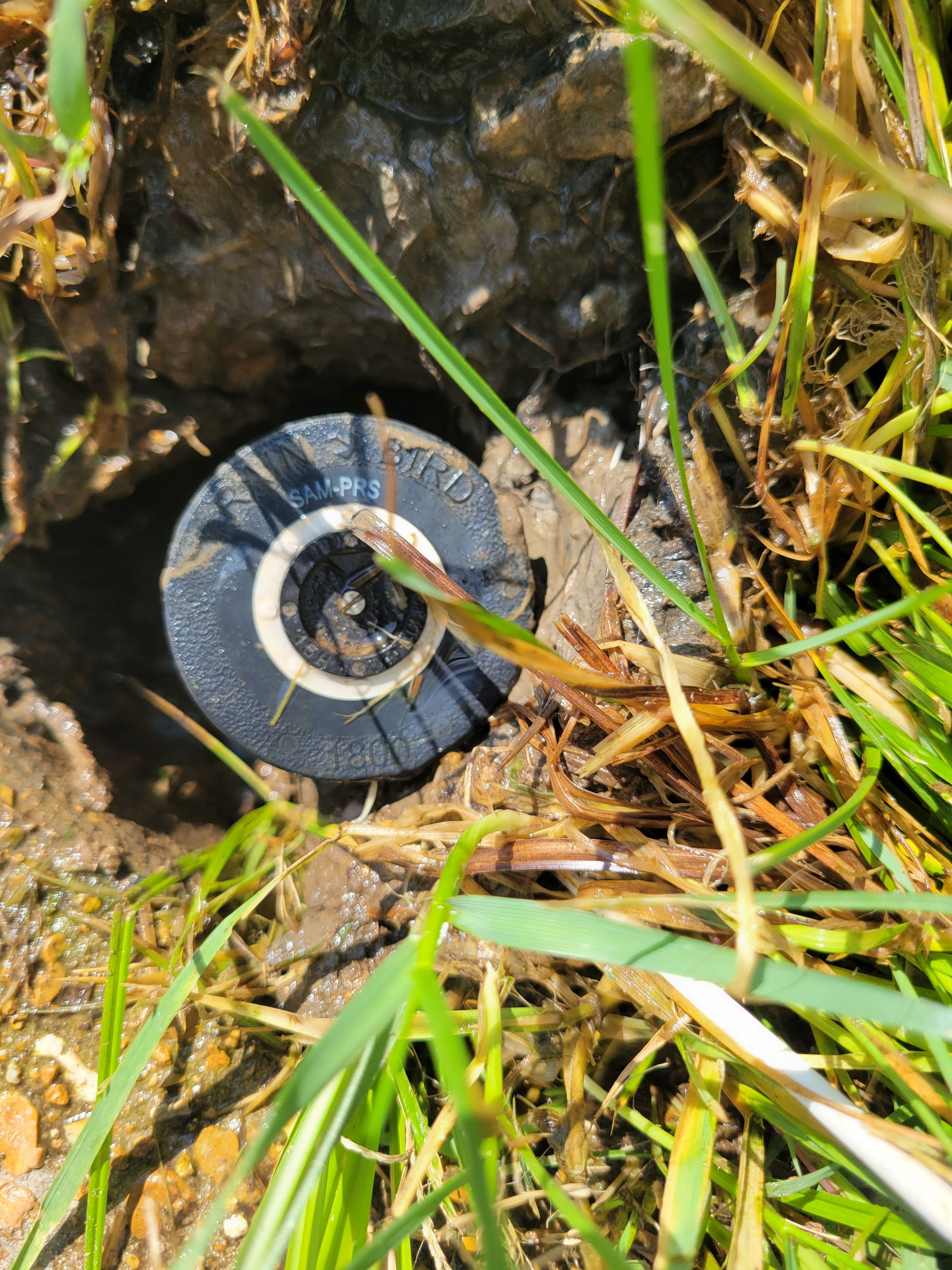  for Contemporary Landscape in St. Louis, MO