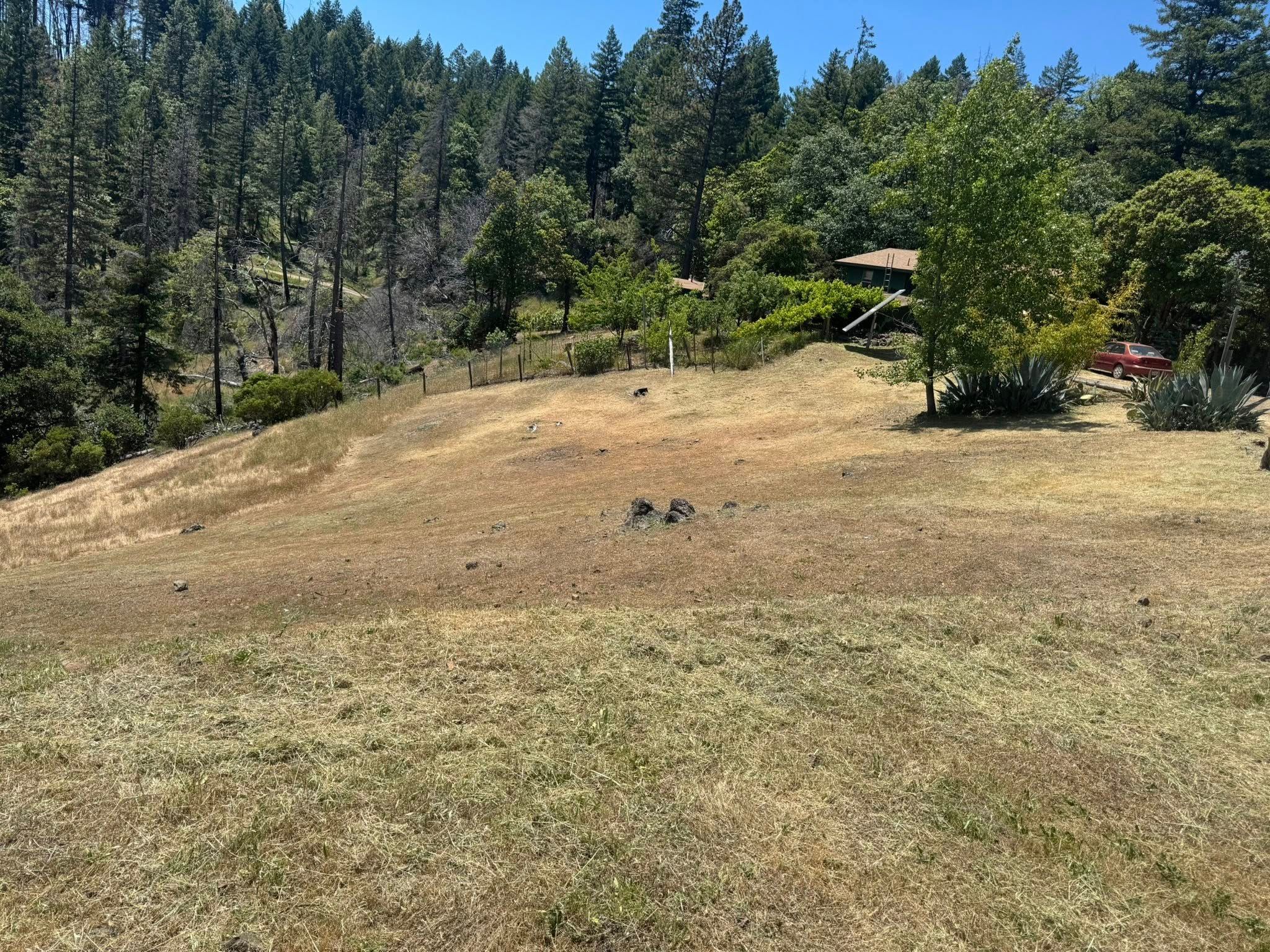 Fire Prevention for Stanisloo’s Landscaping and Services in Potter Valley, CA