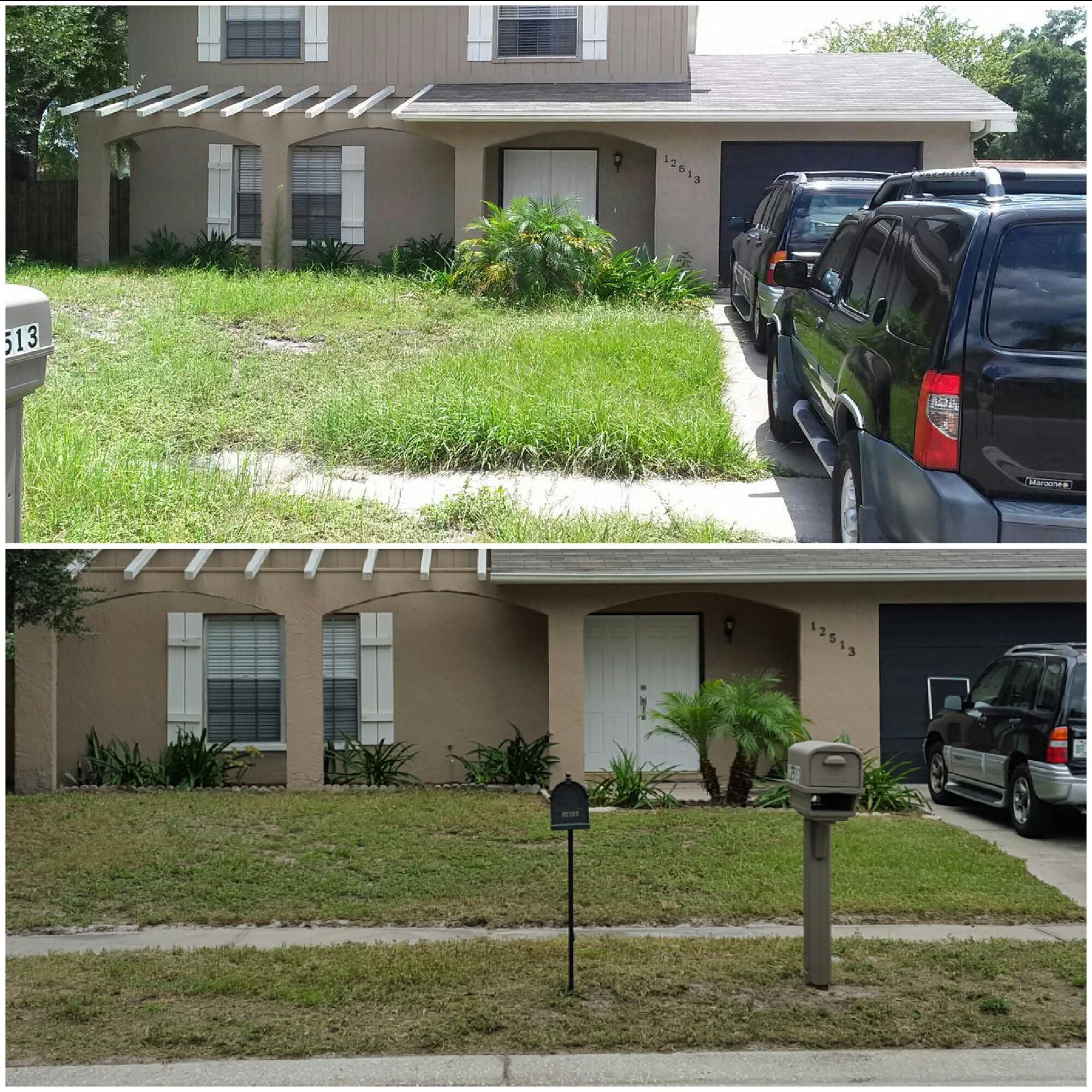  for 1 Friendly Lawn Service in Tampa, FL