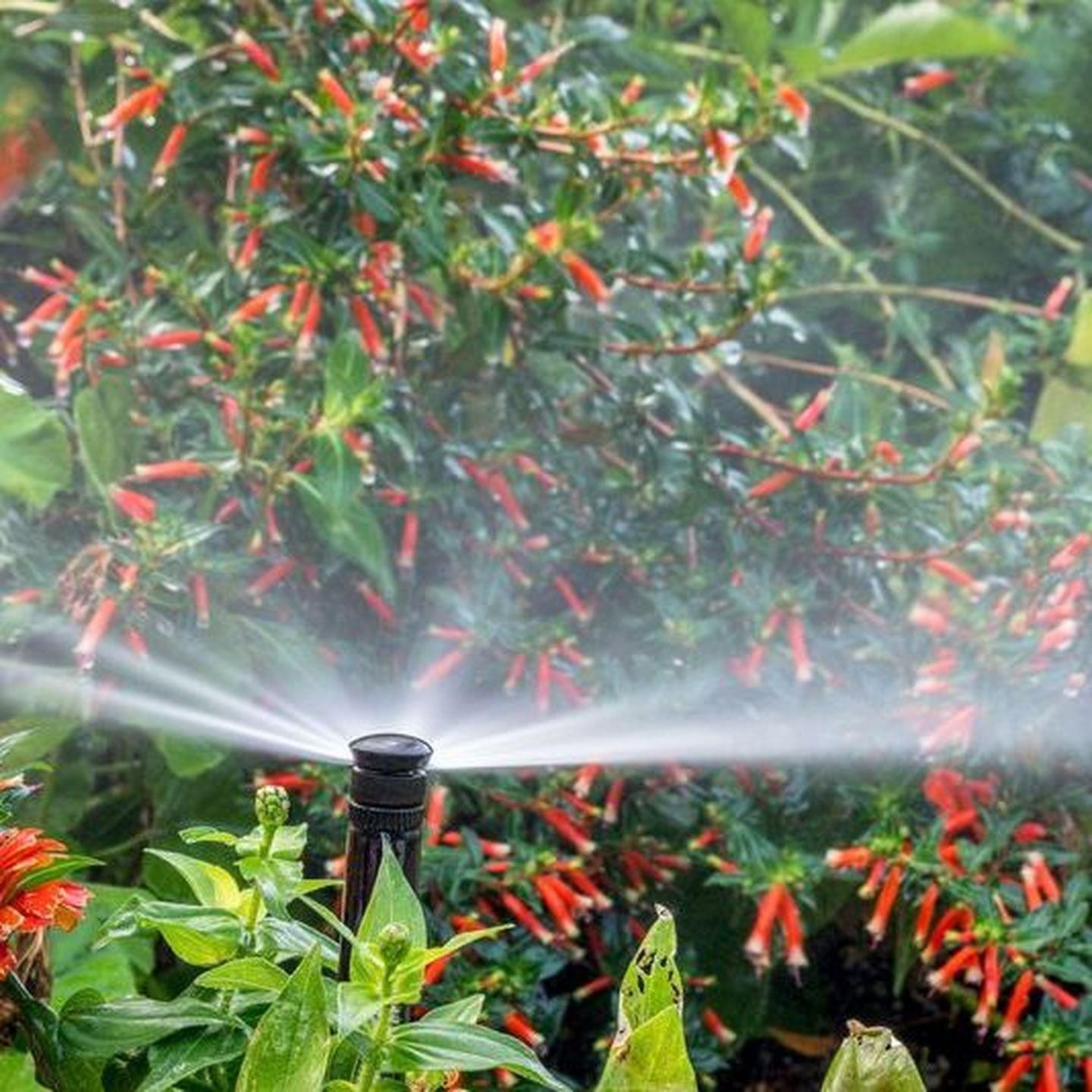  for Terra Heights Tree Experts & Landscaping  in Grass Valley,  CA