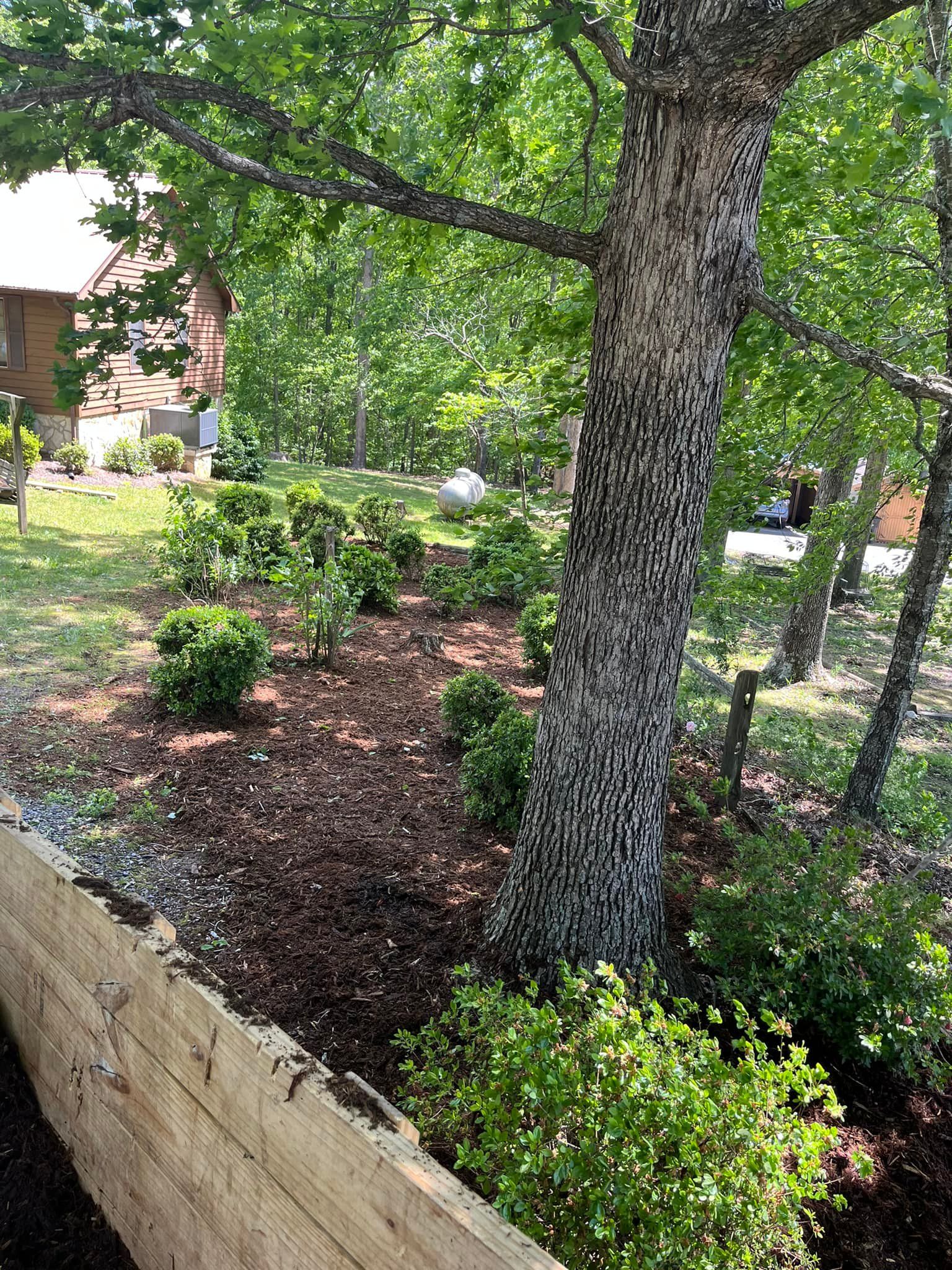  for DW’s Tree Service in Winston-Salem, NC