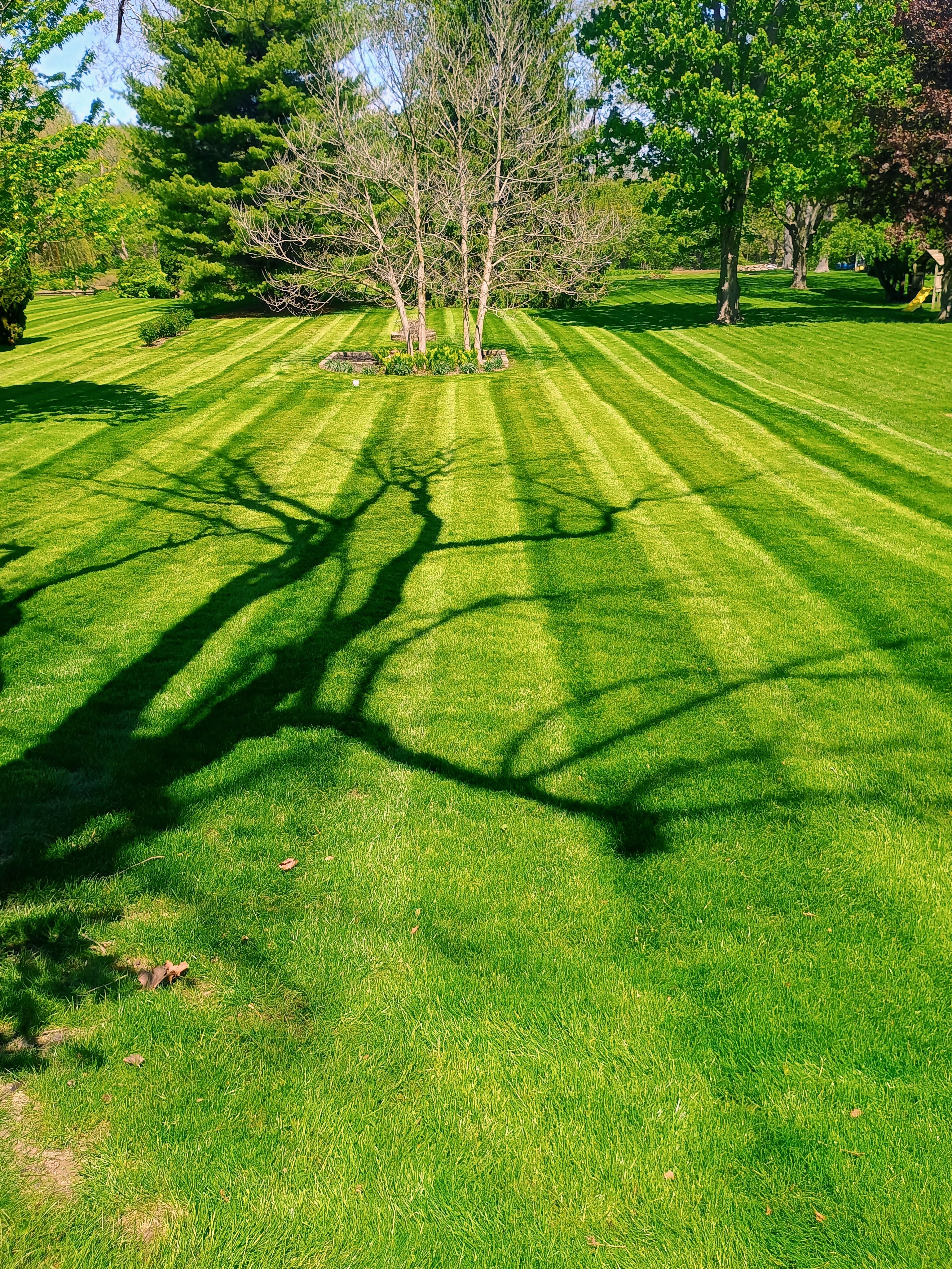  for R&M Lawn Control in Defiance, OH