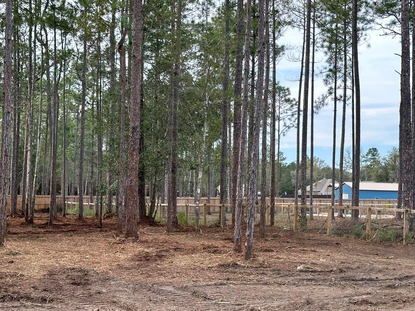 All Photos for White’s Land Maintenance in Milton,, FL