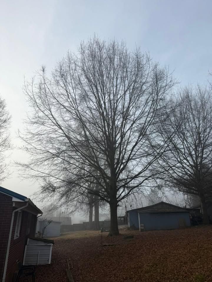  for Down South Tree Care and Landscaping in Maiden, NC