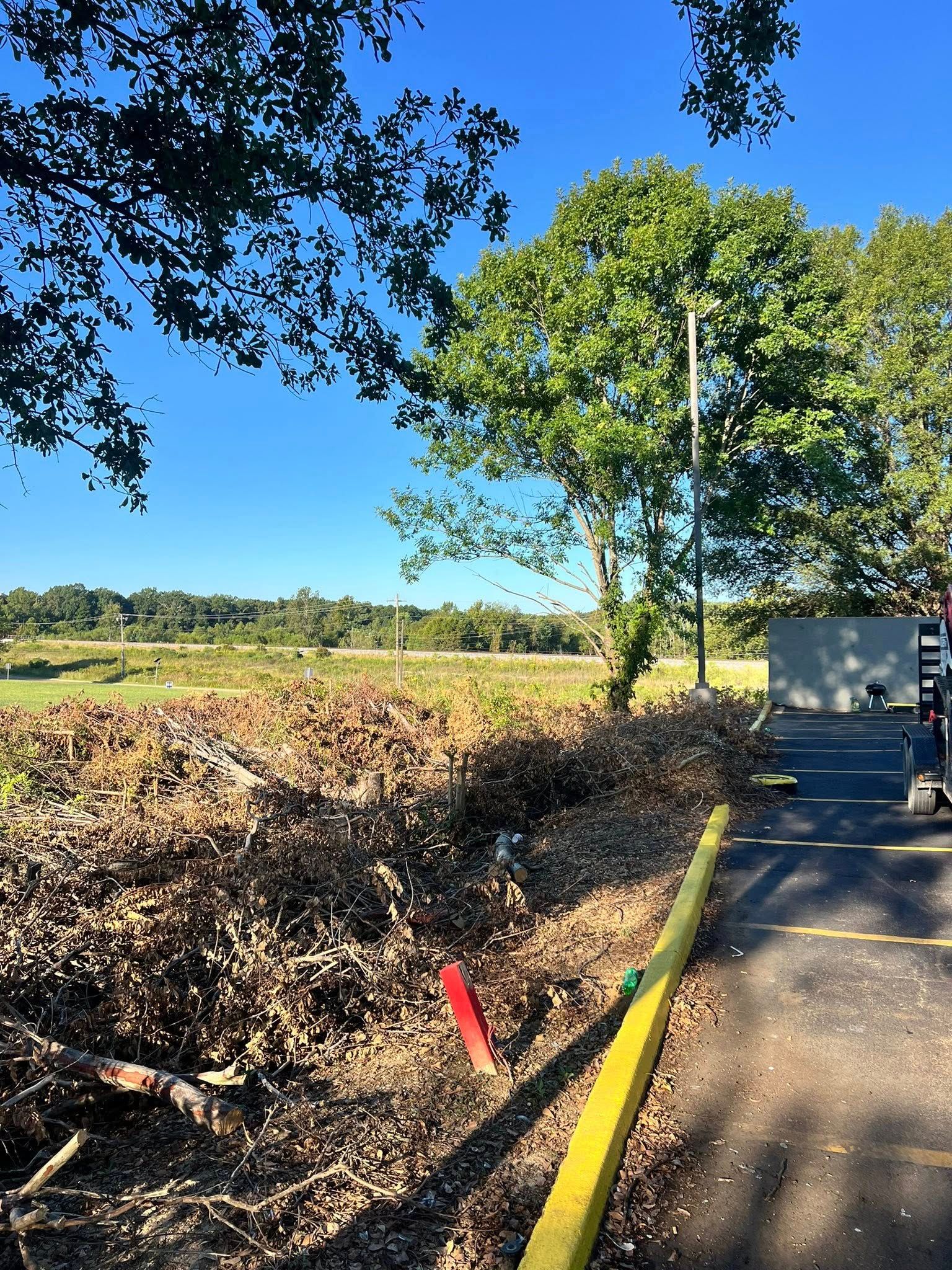 All Photos for Big Munchie Landworx in Jackson, MS