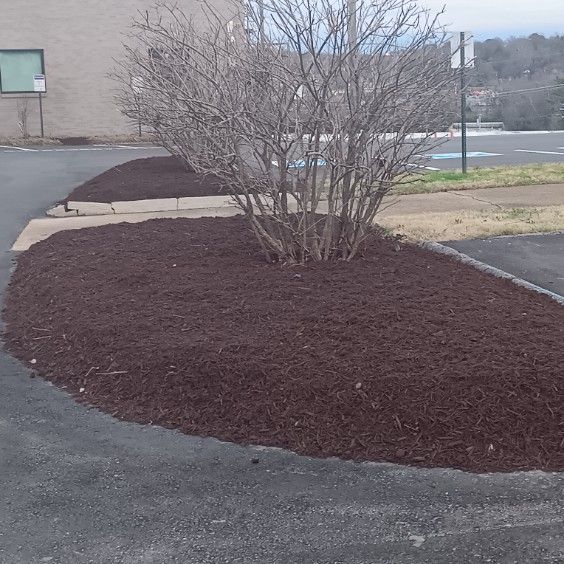  for The Right Price Right Choice Lawn Care Services in Murfreesboro, TN