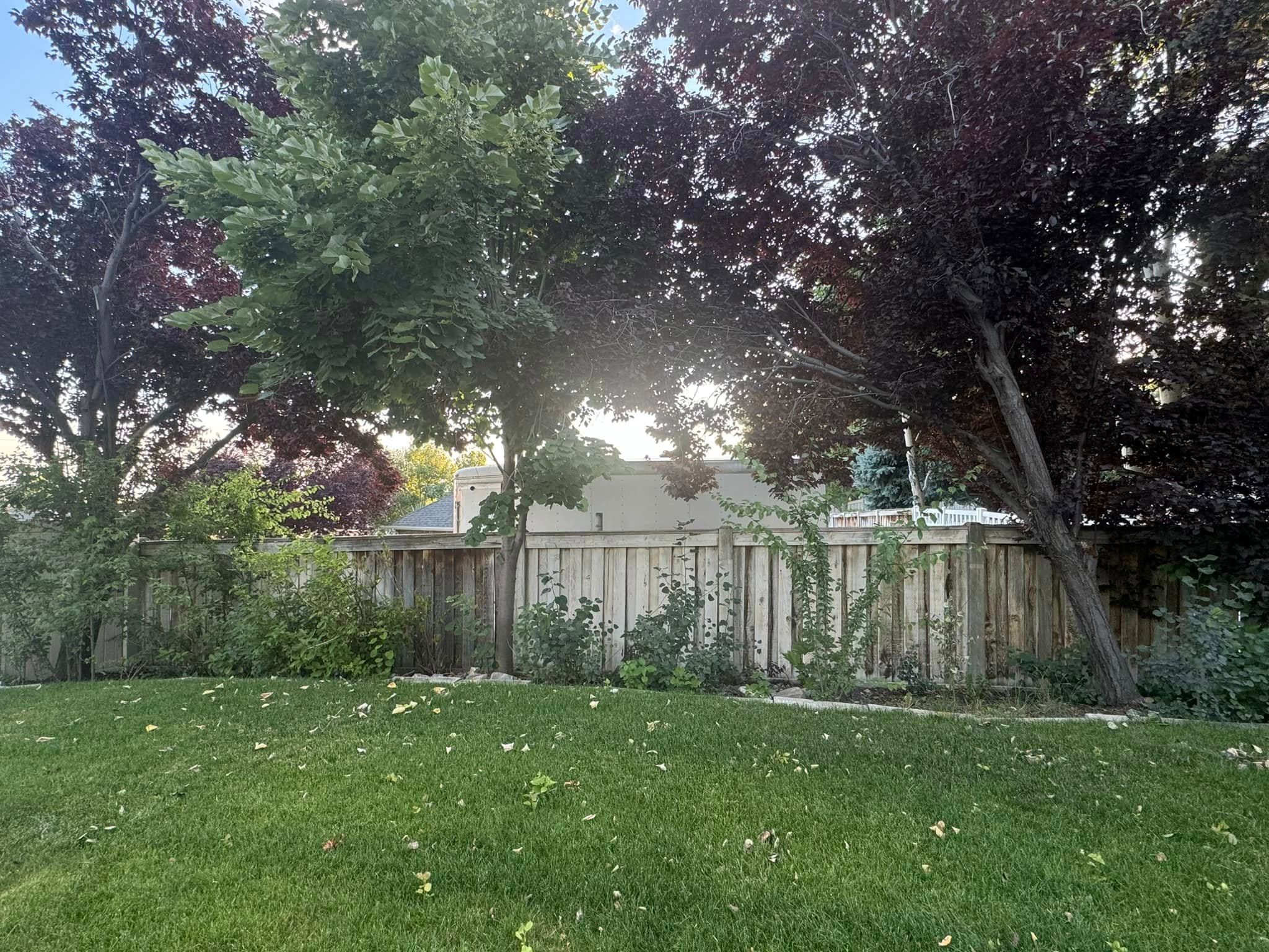 All Photos for L&S Landscaping in Layton, UT