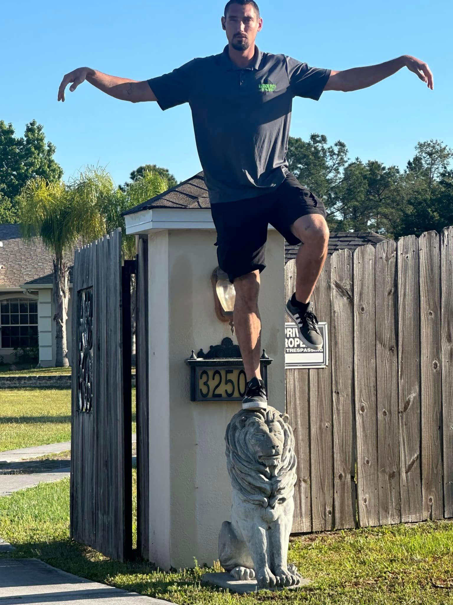  for Narrow Path Tree Service in Deland, FL
