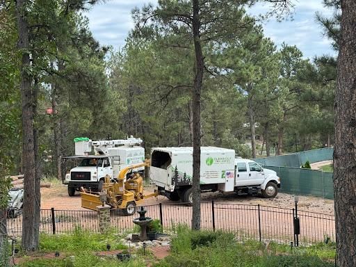  for Clean Cut Tree Service in Gillette, WY