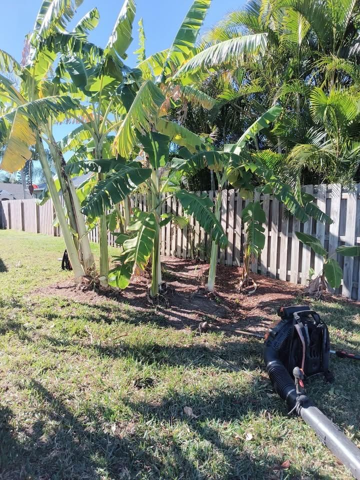  for Space Coast Property Maintenance and Management LLC in Brevard County, FL