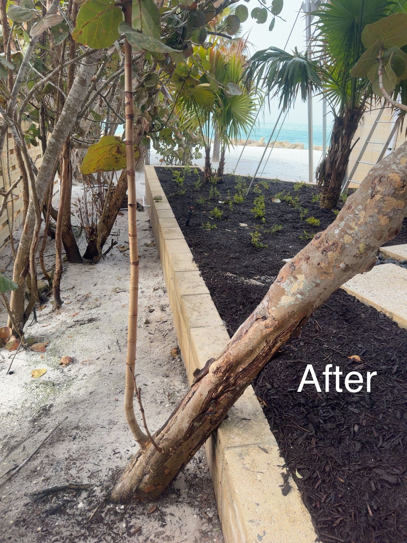  for My Soft Wash Guys in Venice, FL