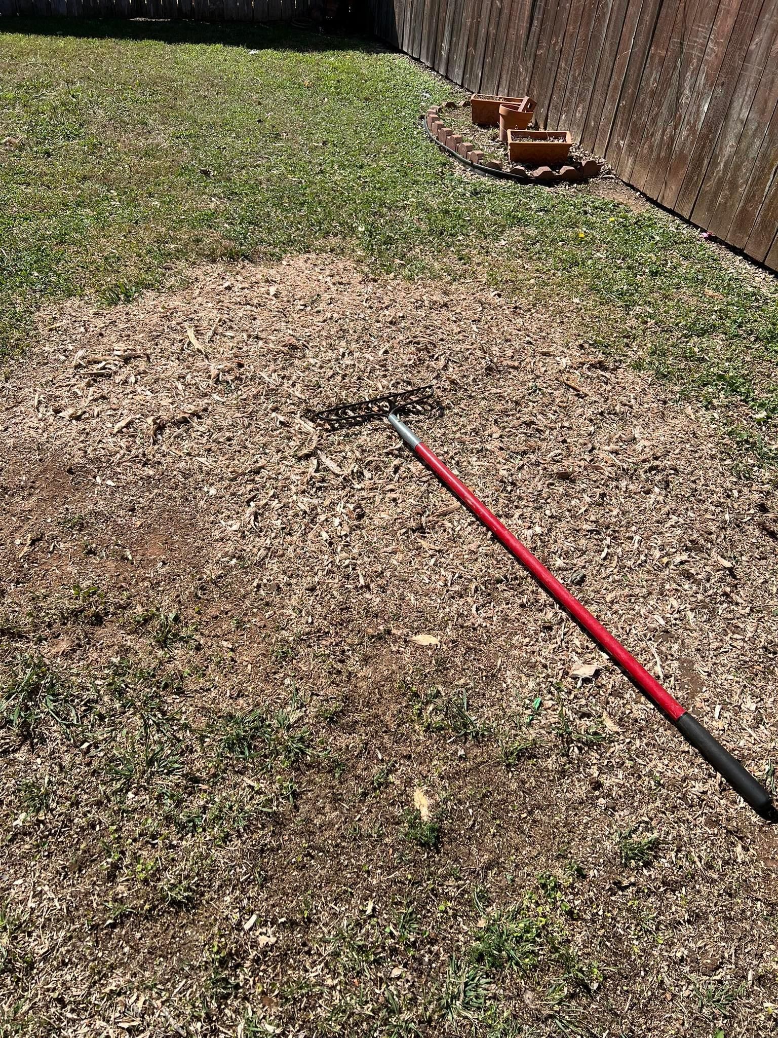 All Photos for Camerons Stump Grinding & Tree Services in Austin, TX