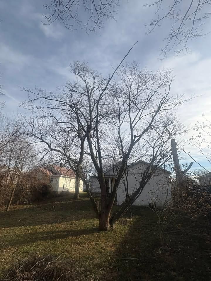  for Dig-It Tree Company in Mason, OH