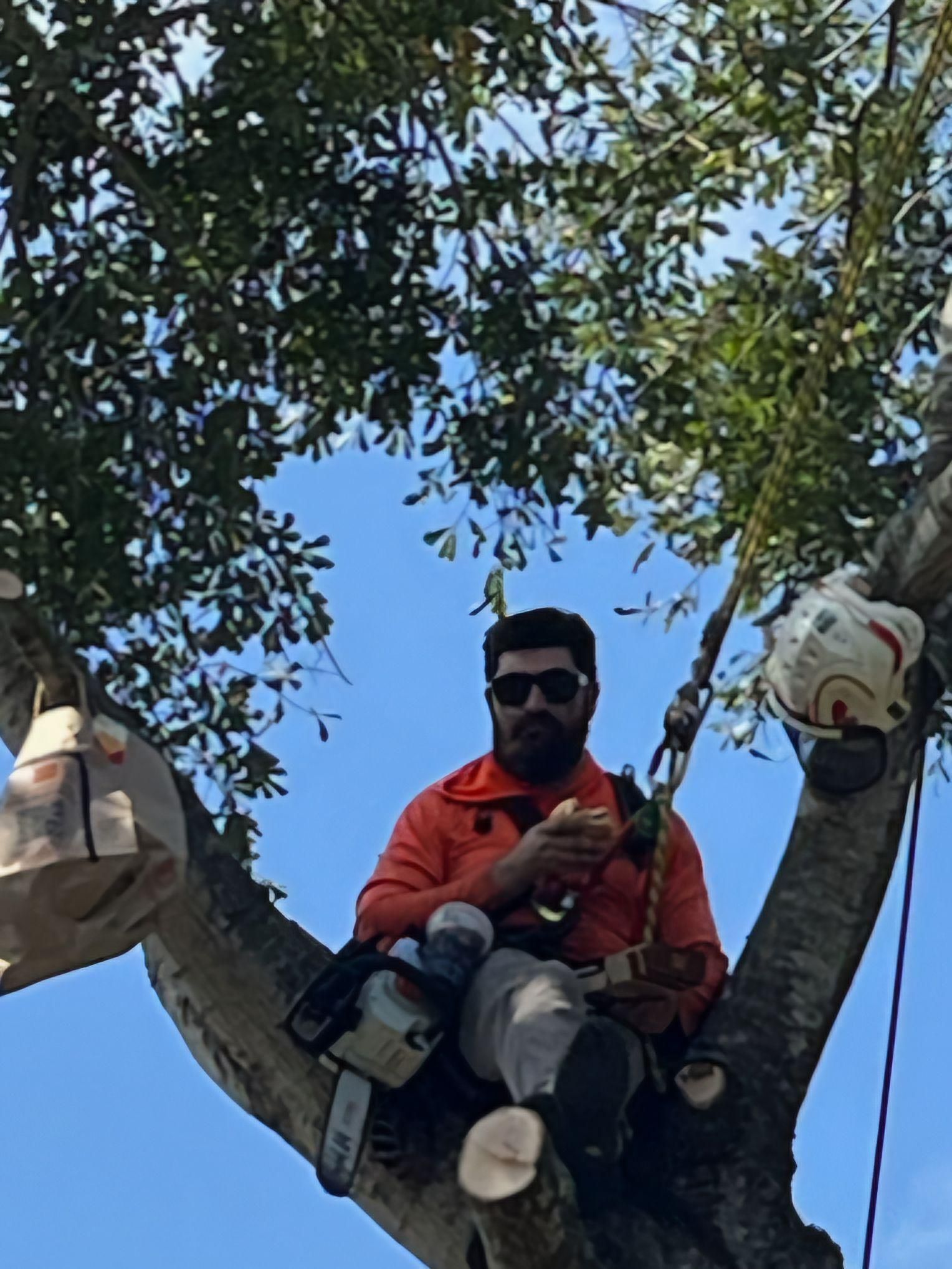  for Servin's Tree Care  in Houston, TX