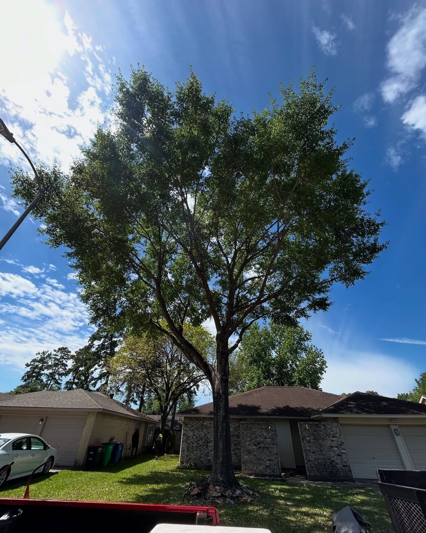  for C&B Ramos Tree Service in Houston, TX