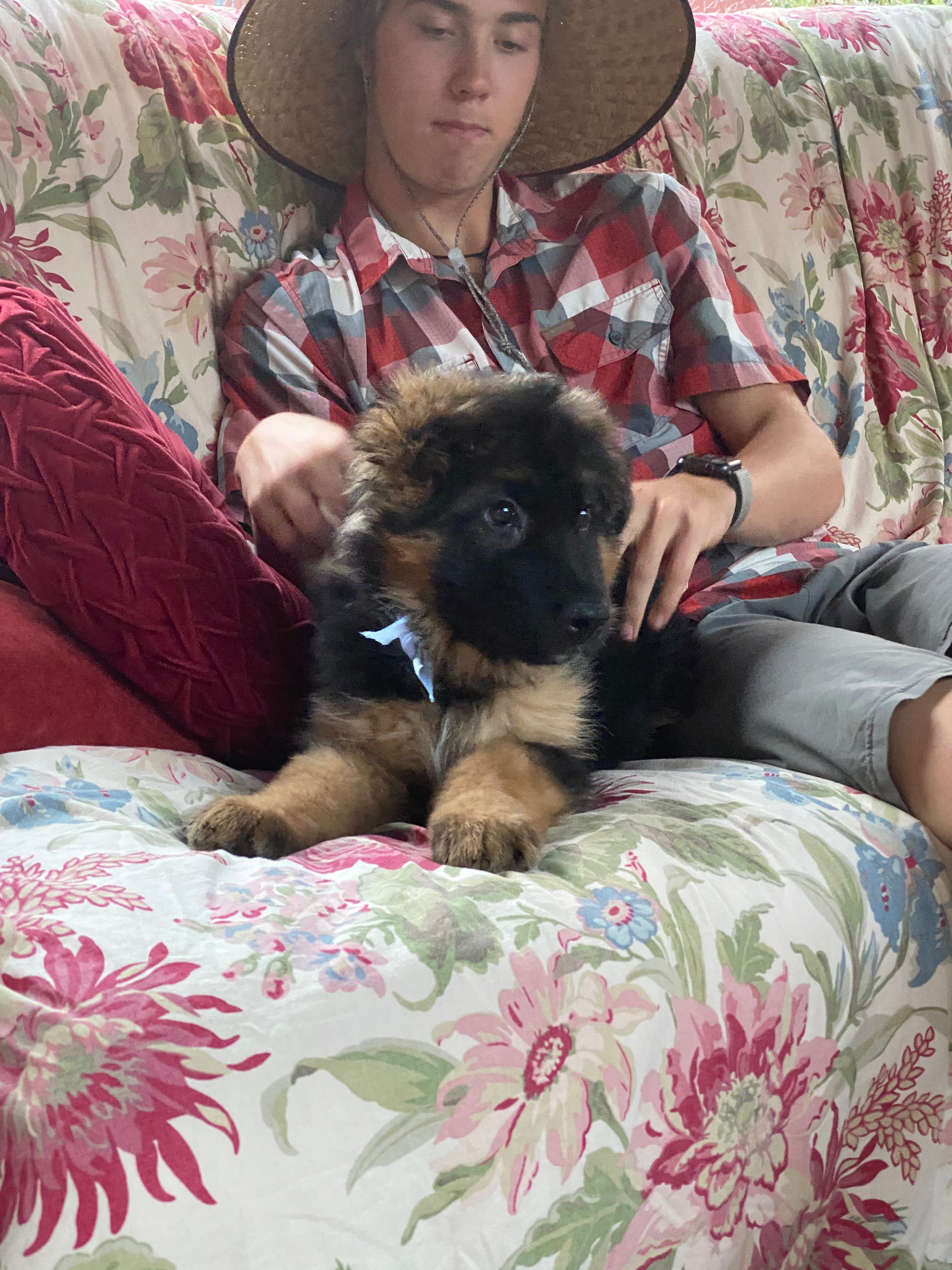  for D & D Builders in Boulder, CO