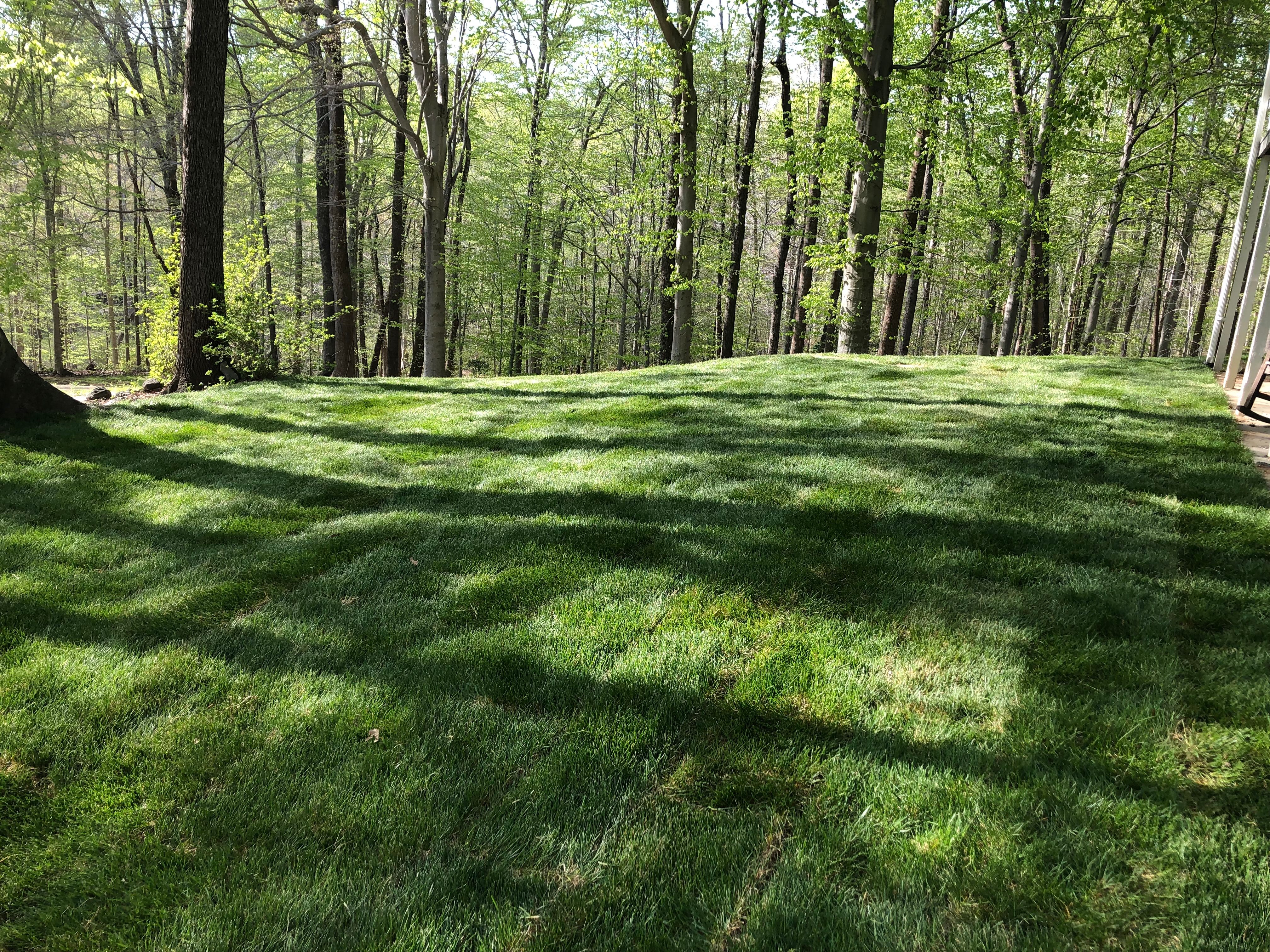  for Elite Excavating & Septic Service, LLC in Calvert County, MD