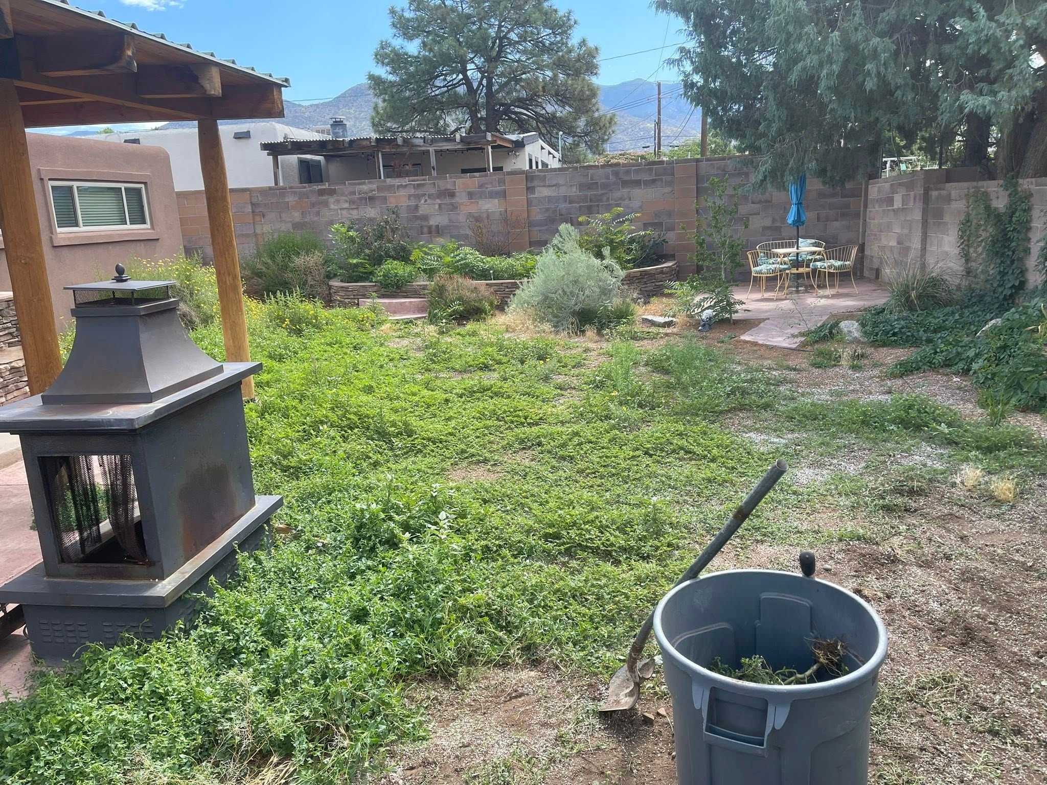  for Luxury Junk Removal Yard Care in Albuquerque, NM